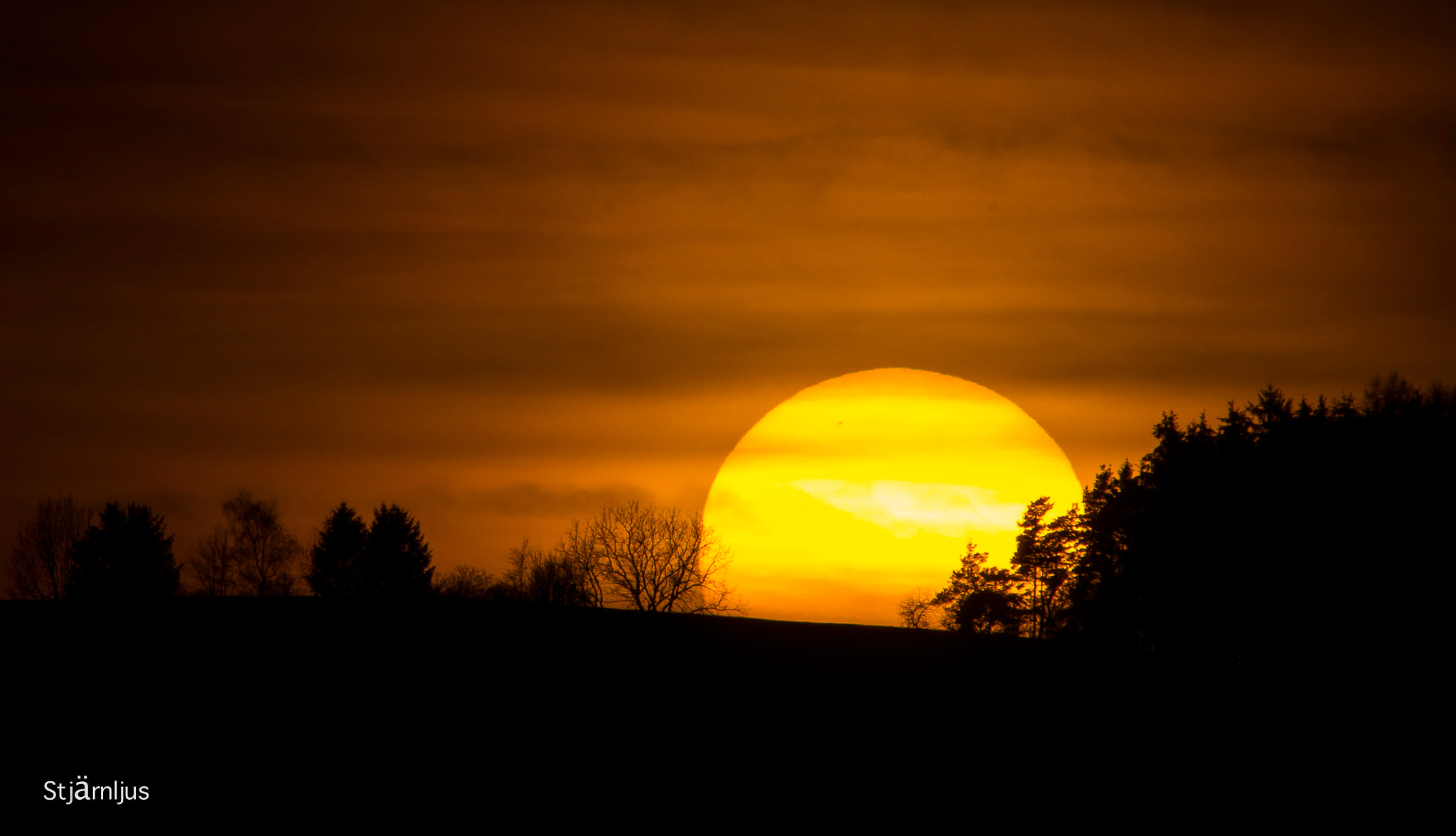 Sigma 150-500mm F5-6.3 DG OS HSM sample photo. Africa sun in switzerland photography
