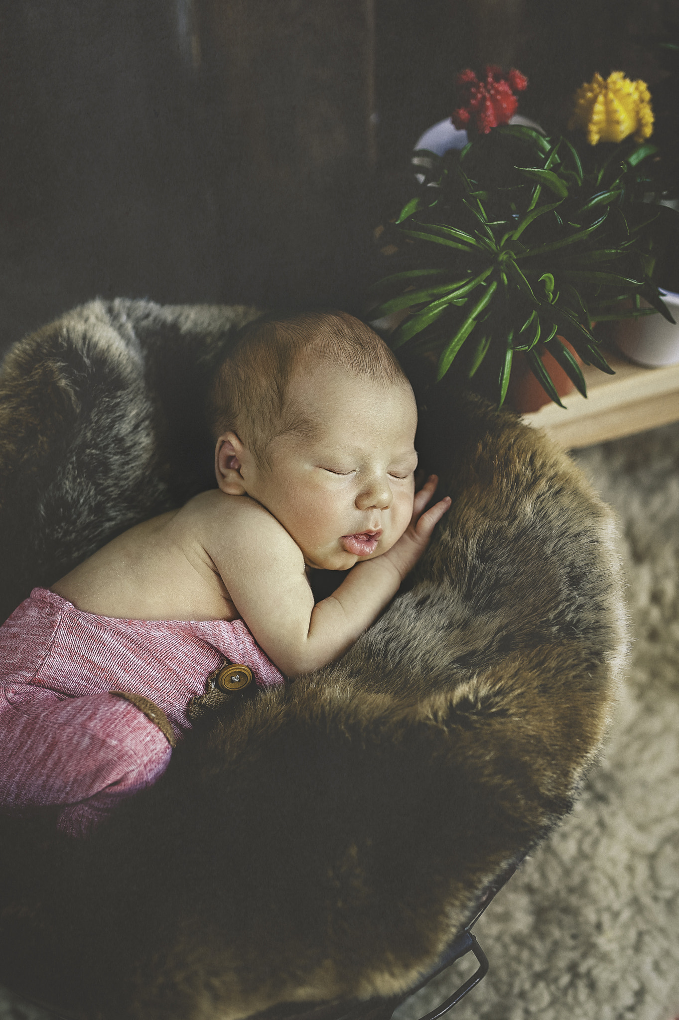 Nikon D700 + Sigma 50mm F1.4 DG HSM Art sample photo. Kids photography