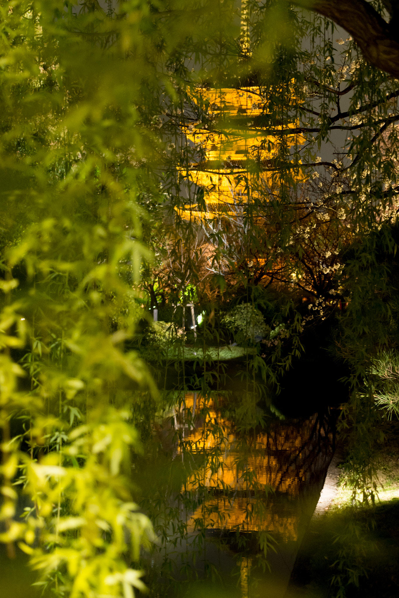 Panasonic Lumix G X Vario 12-35mm F2.8 ASPH Power OIS sample photo. Toji-temple in kyoto photography