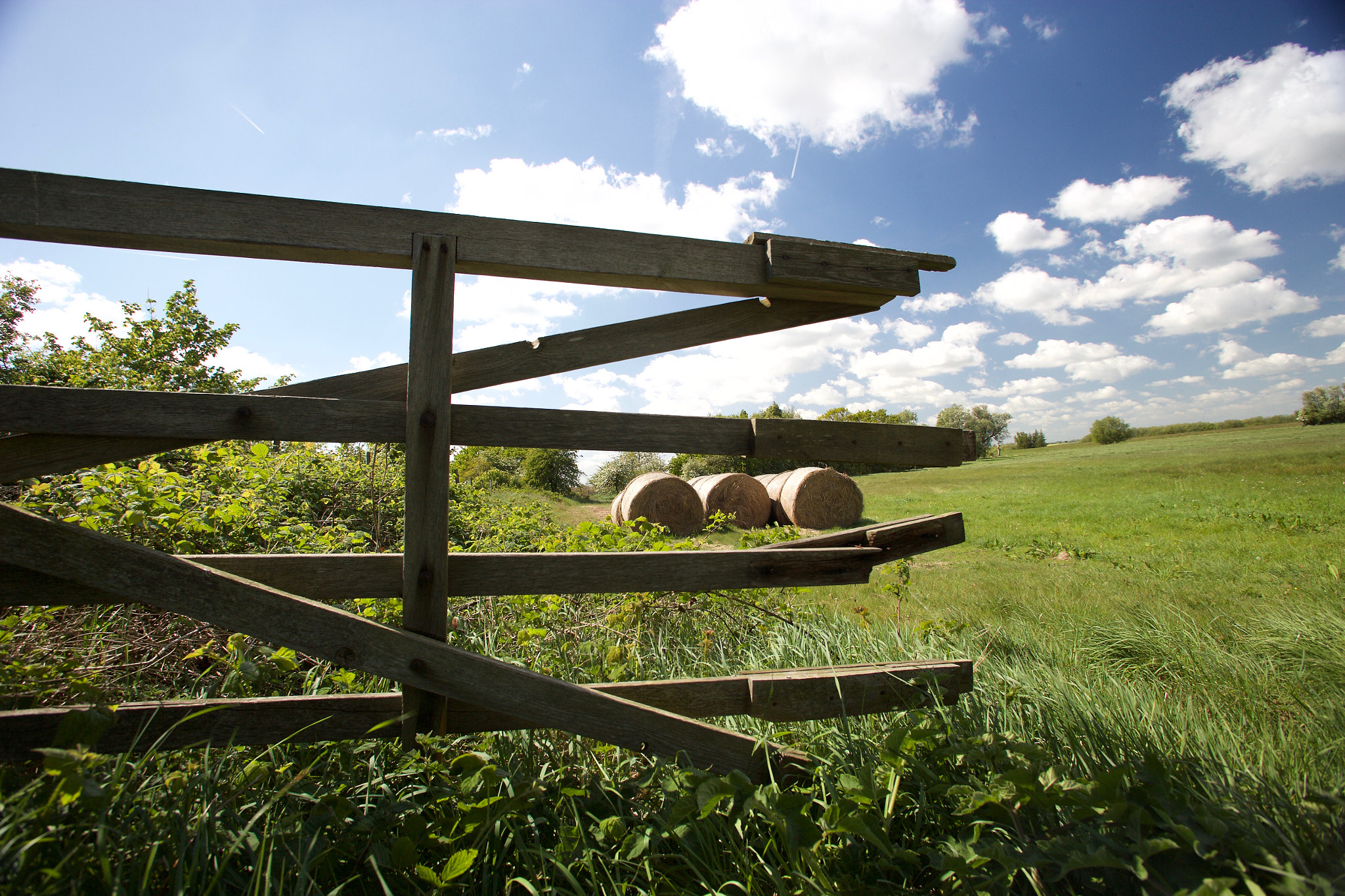Canon EF 17-35mm f/2.8L sample photo. Sennefleet_ 115 photography