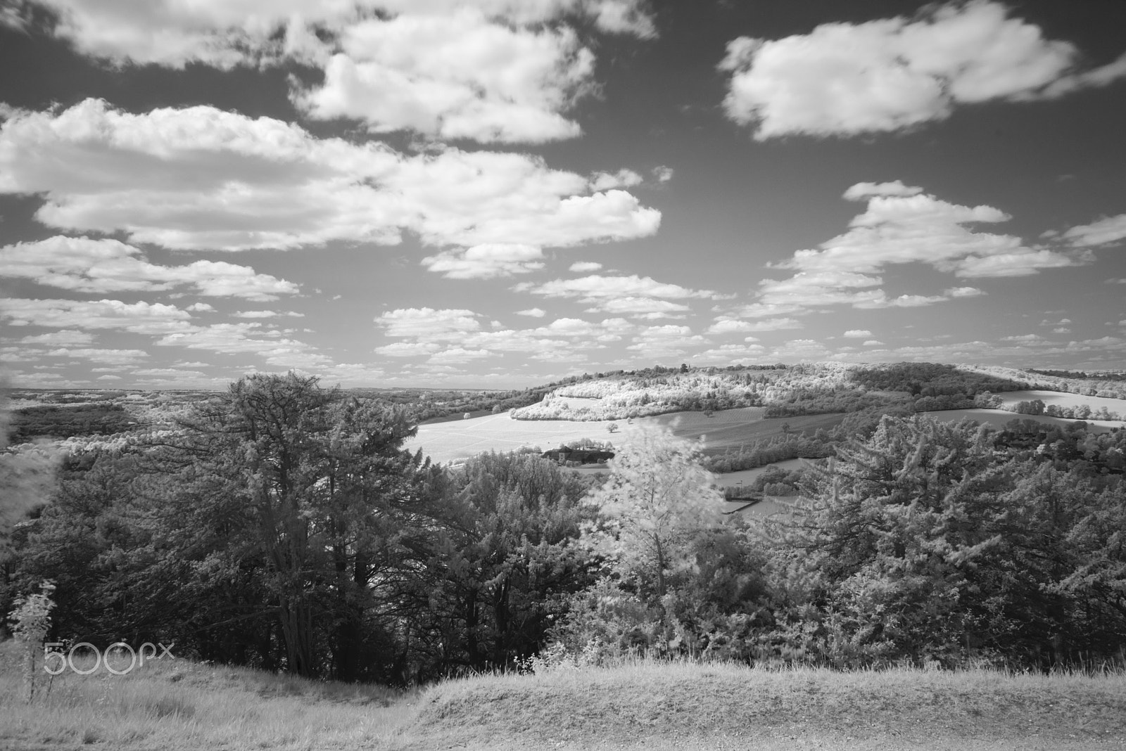 Nikon D810 + Nikon AF Nikkor 28mm F2.8D sample photo. Box hill infra red, surrey. uk photography