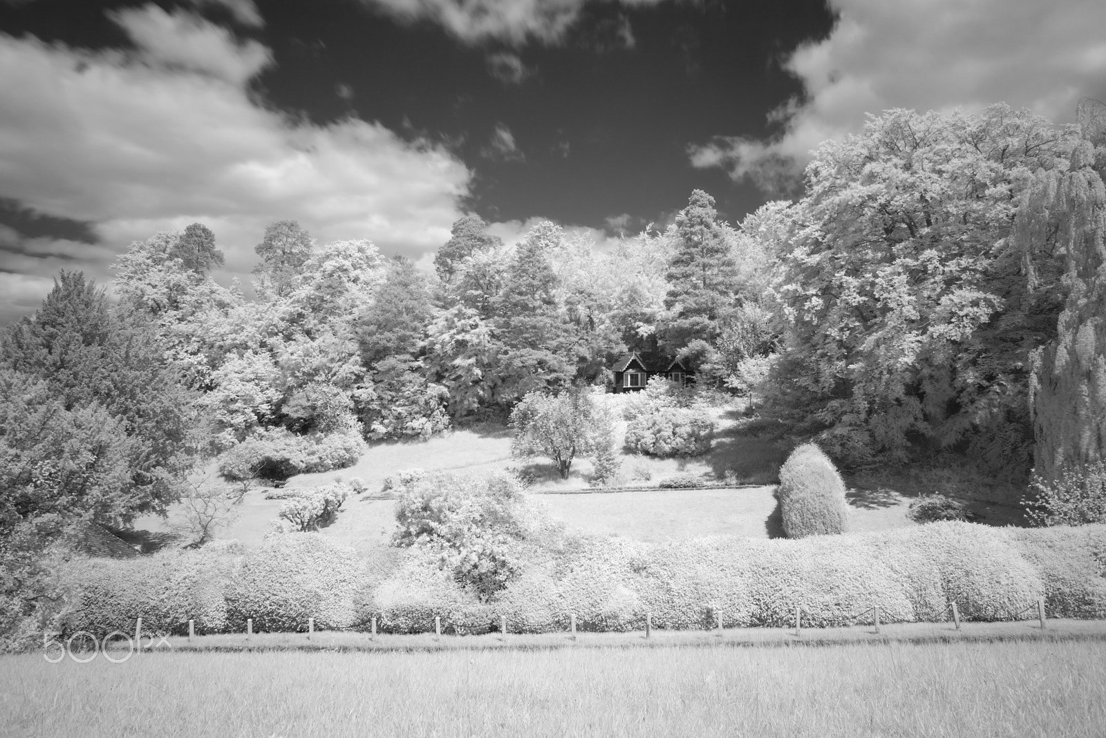 Nikon D810 + Nikon AF Nikkor 28mm F2.8D sample photo. Box hill infra red, surrey. uk photography