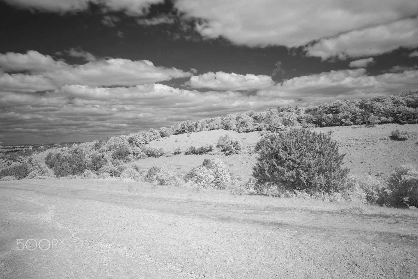 Nikon D810 + Nikon AF Nikkor 28mm F2.8D sample photo. Box hill infra red, surrey. uk photography