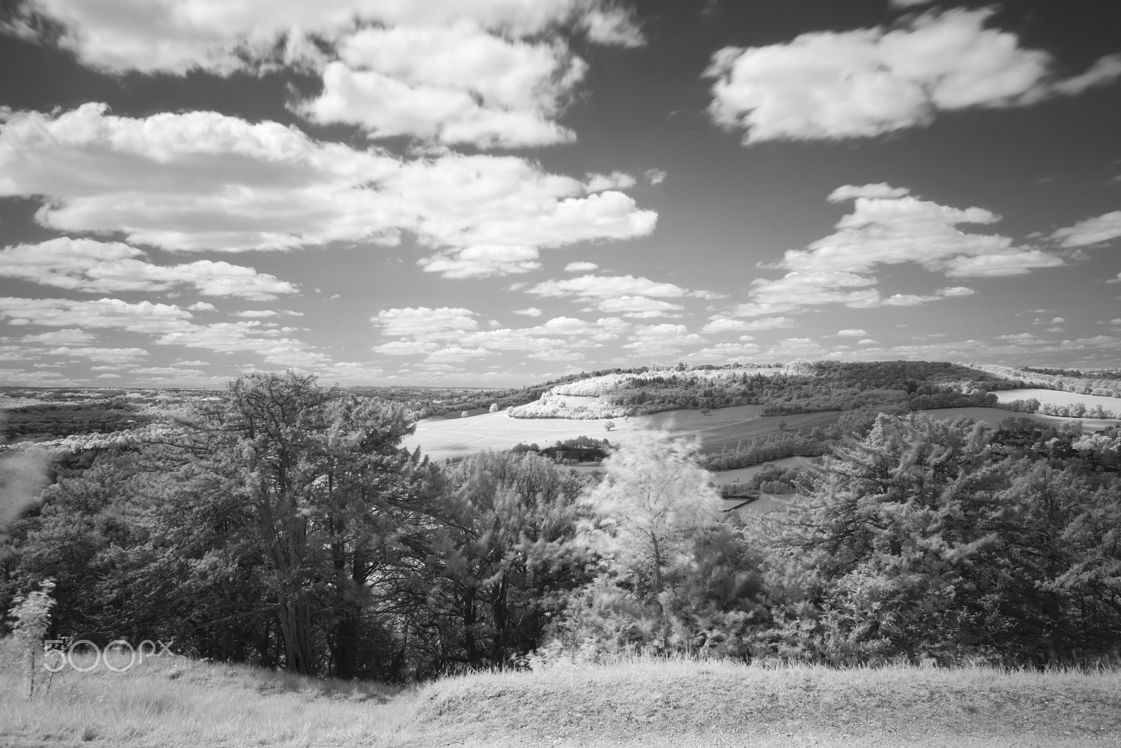 Nikon D810 + Nikon AF Nikkor 28mm F2.8D sample photo. Box hill infra red, surrey. uk photography