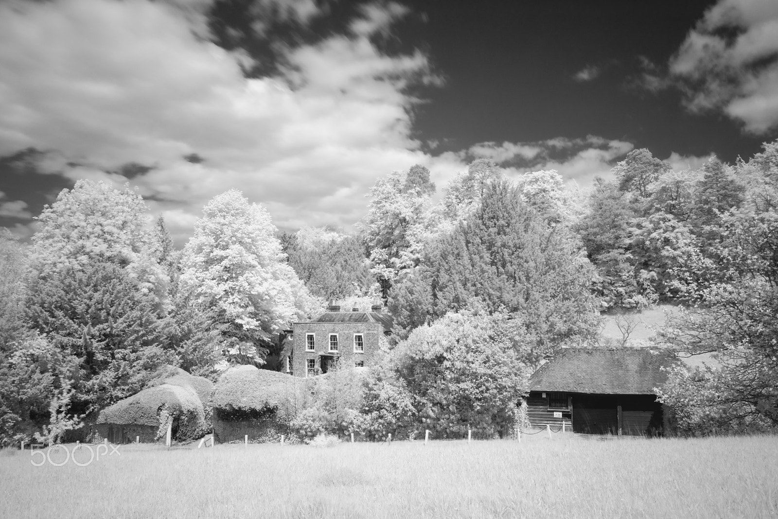 Nikon D810 + Nikon AF Nikkor 28mm F2.8D sample photo. Box hill infra red, surrey. uk photography