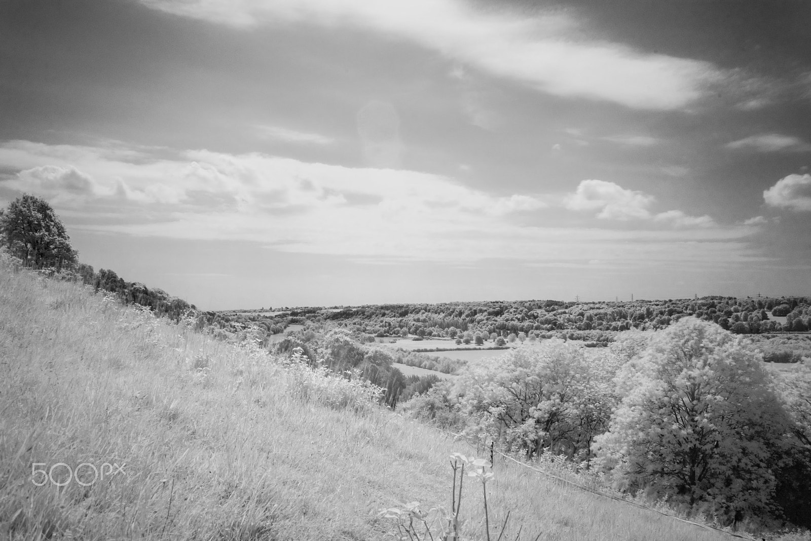 Nikon D810 + Nikon AF Nikkor 28mm F2.8D sample photo. Hartslock, oxfordshire, uk. infra-red. photography