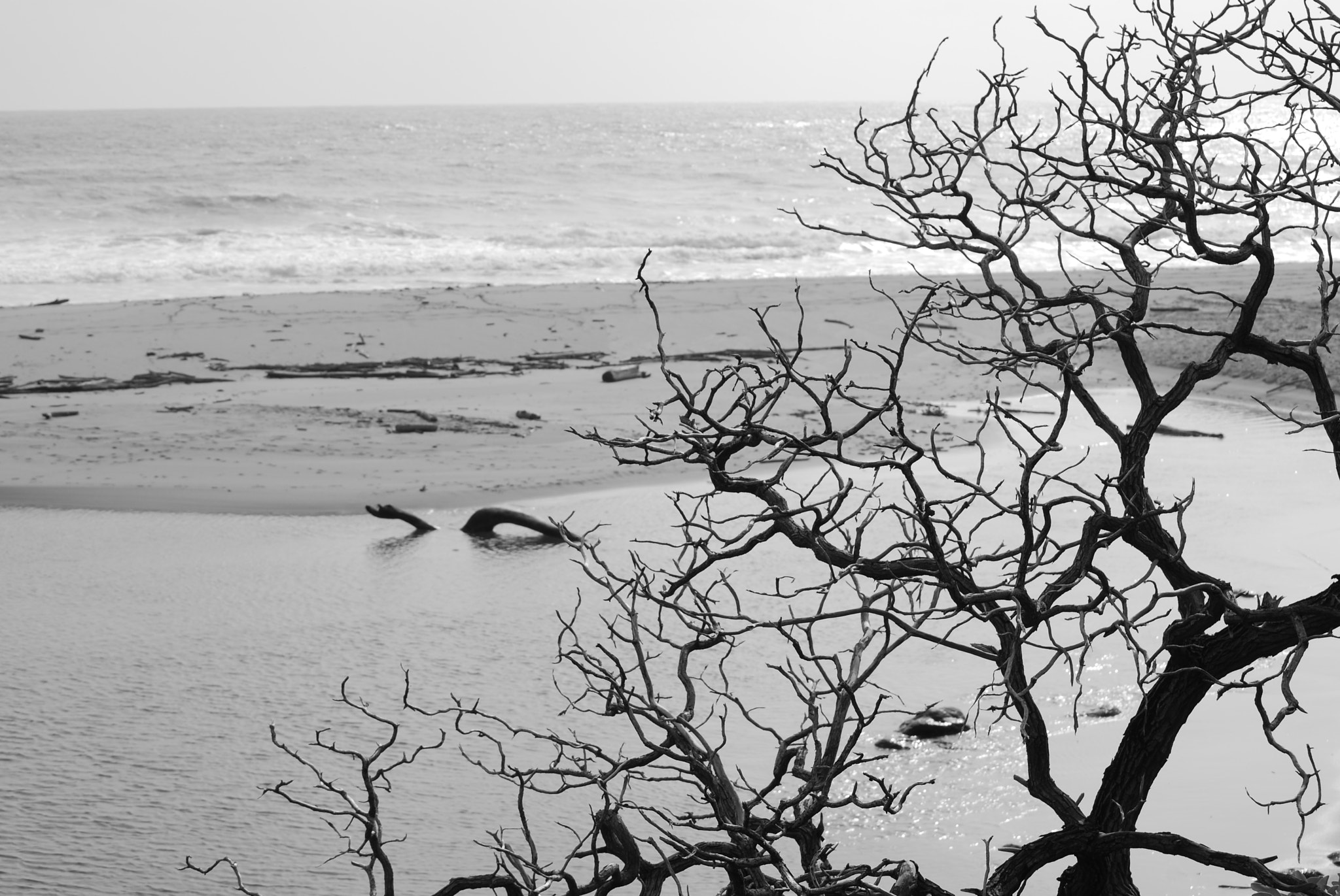 Nikon D60 sample photo. Intricacies ... photography