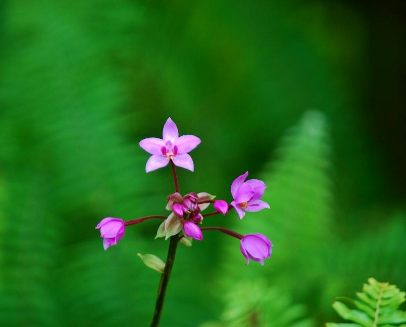 Nikon D60 sample photo. Salutations! photography