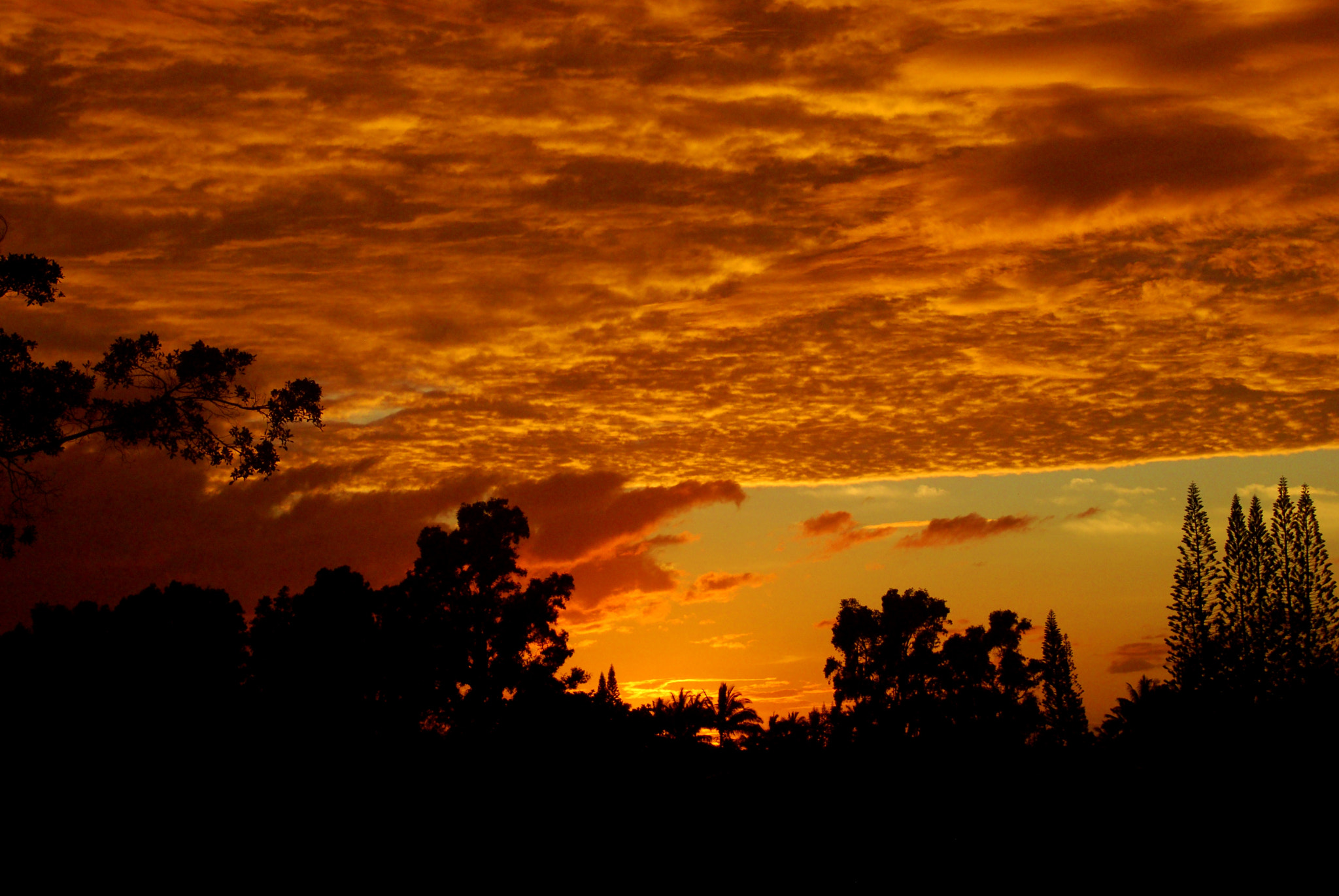 Nikon D60 sample photo. Puamana sky fire! photography