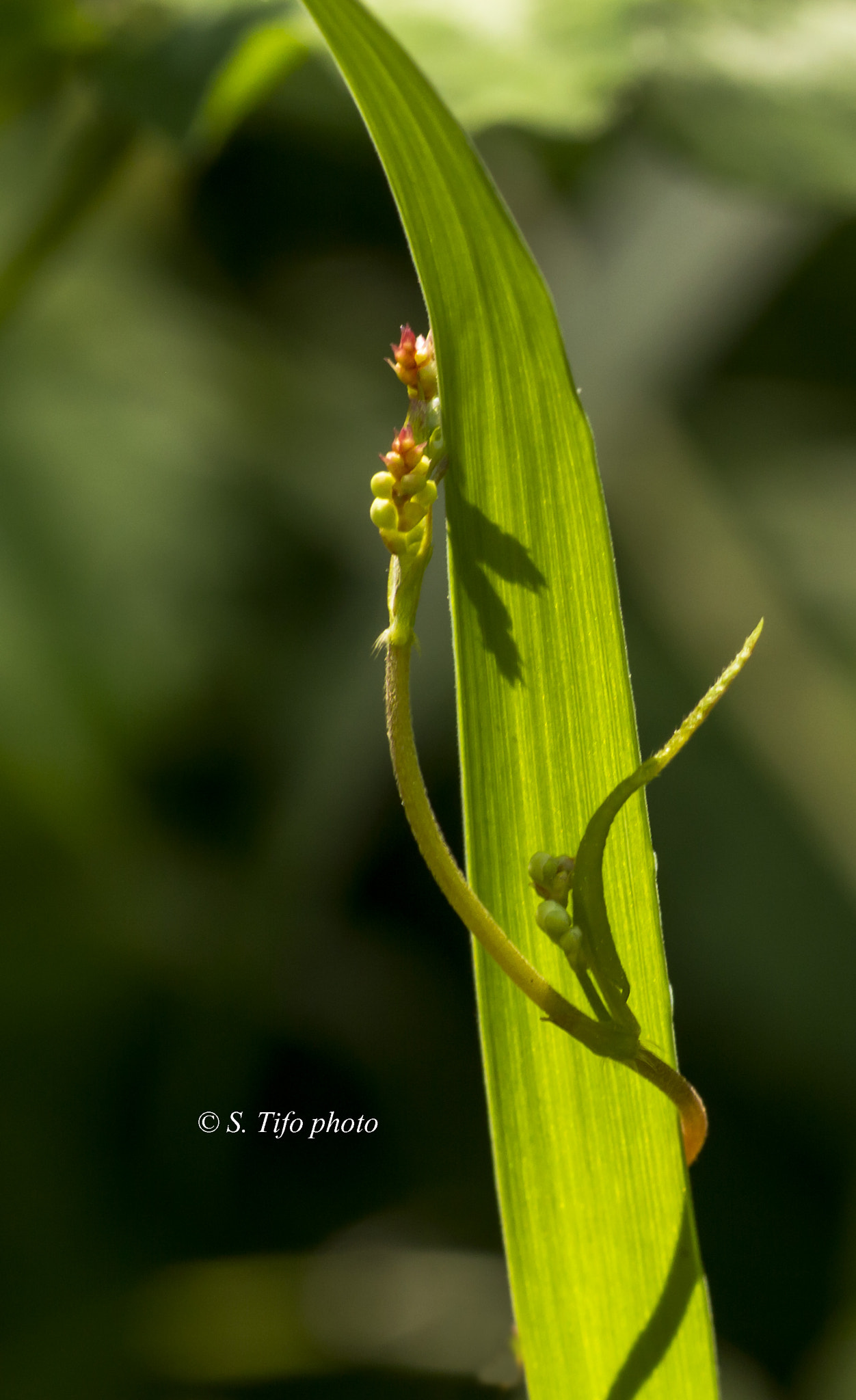 Sigma 105mm F2.8 EX DG OS HSM sample photo. Around ... photography