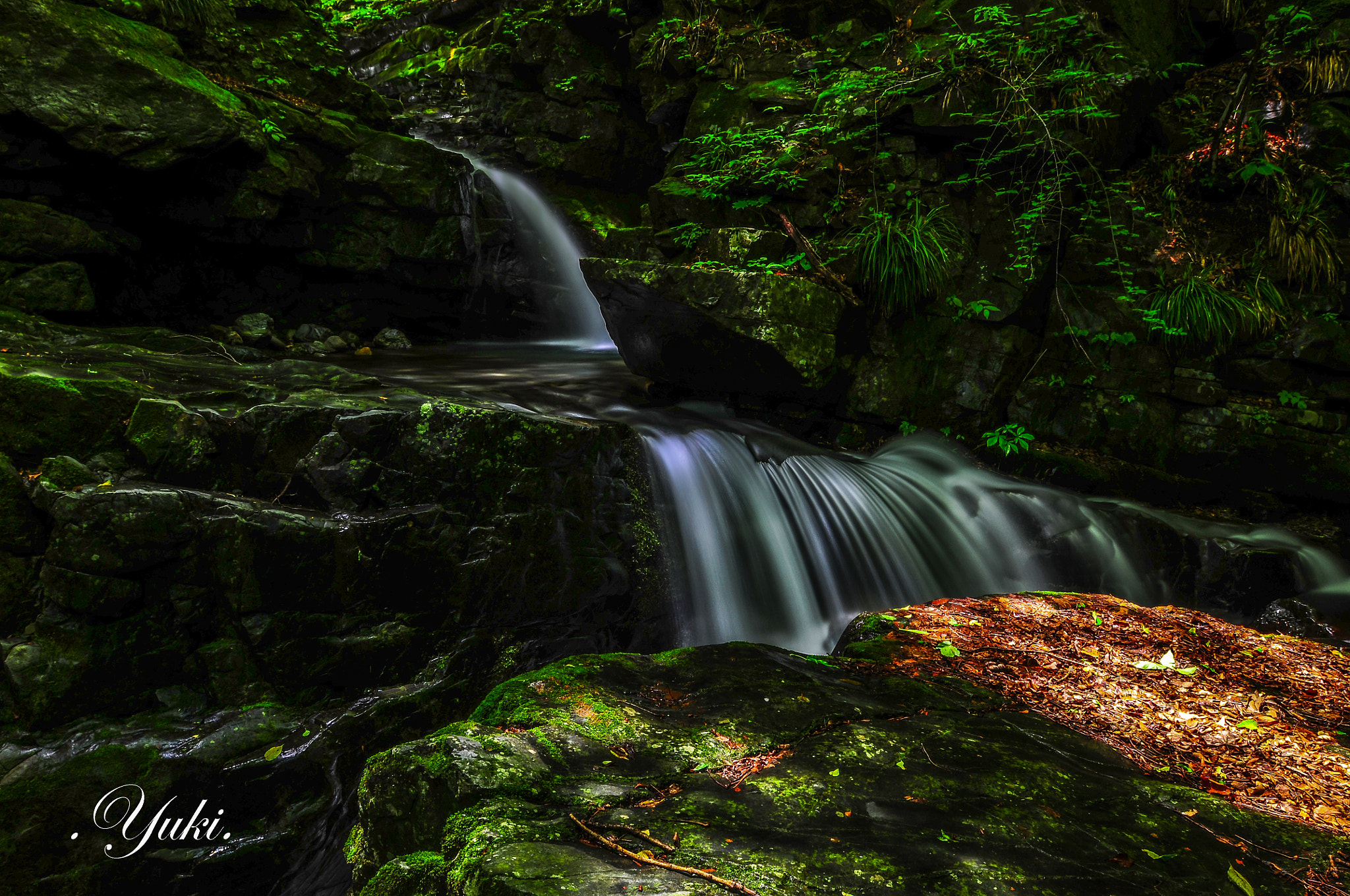 Nikon AF-S Nikkor 17-35mm F2.8D ED-IF sample photo. 十国渓谷Ⅹ photography
