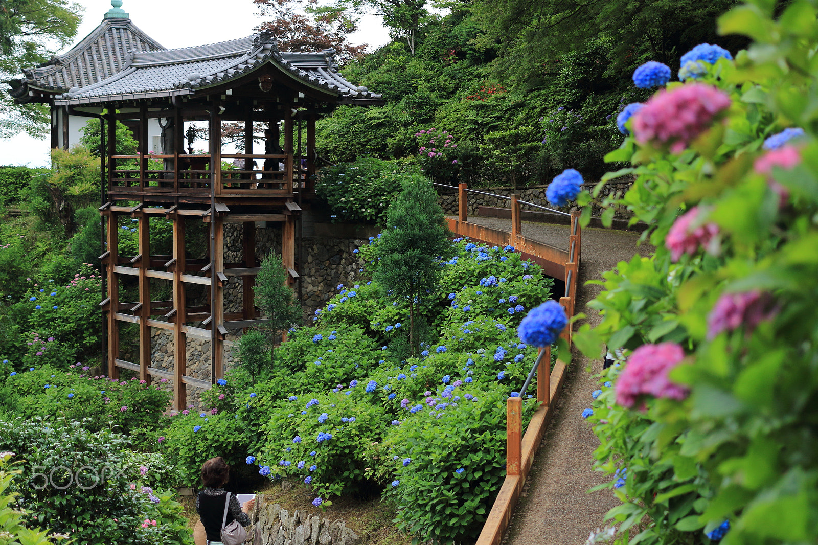 Canon EOS 100D (EOS Rebel SL1 / EOS Kiss X7) sample photo. Slope photography
