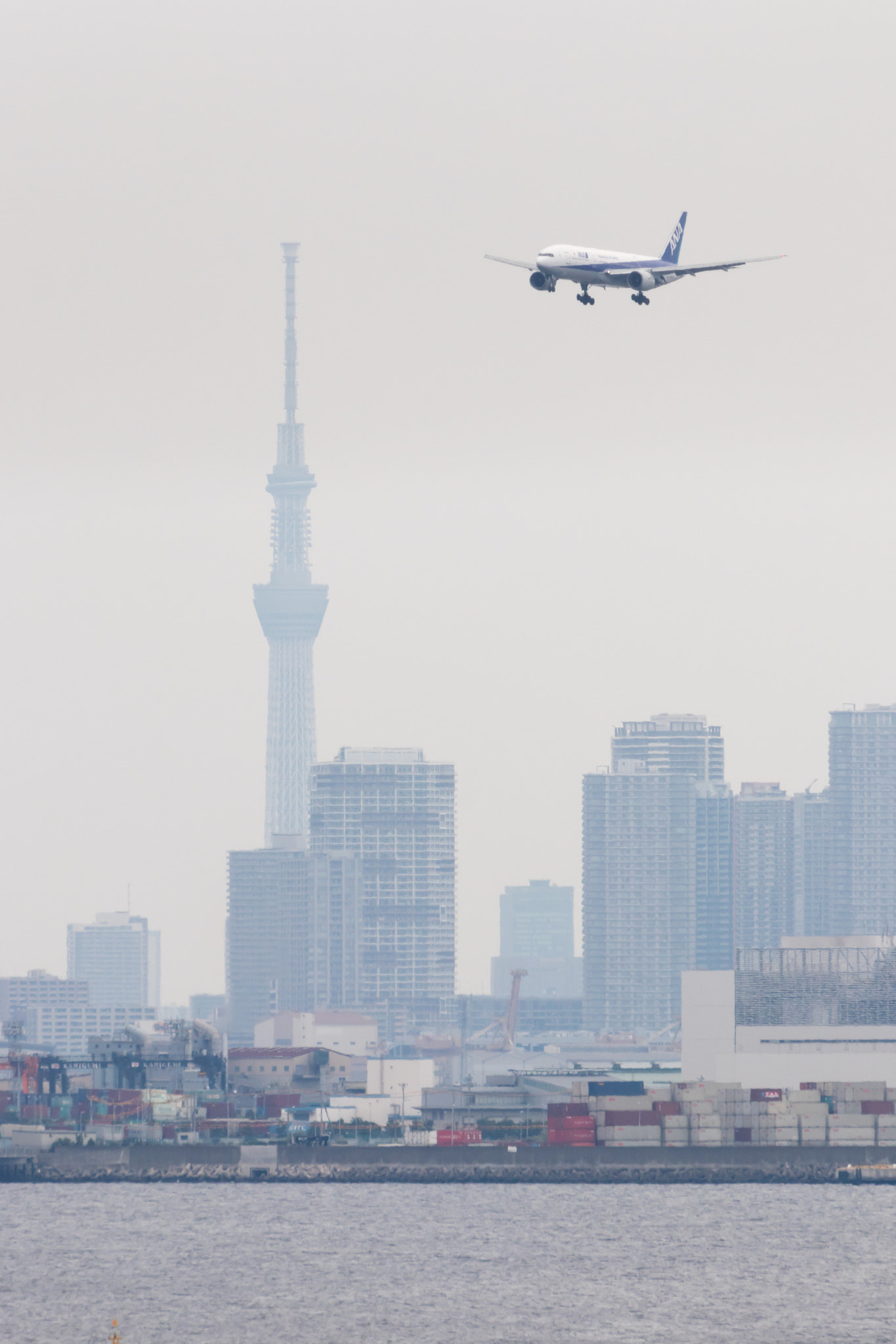 Canon EOS 80D + Sigma 50-500mm F4.5-6.3 DG OS HSM sample photo. An airplane with tokyou sky tree photography