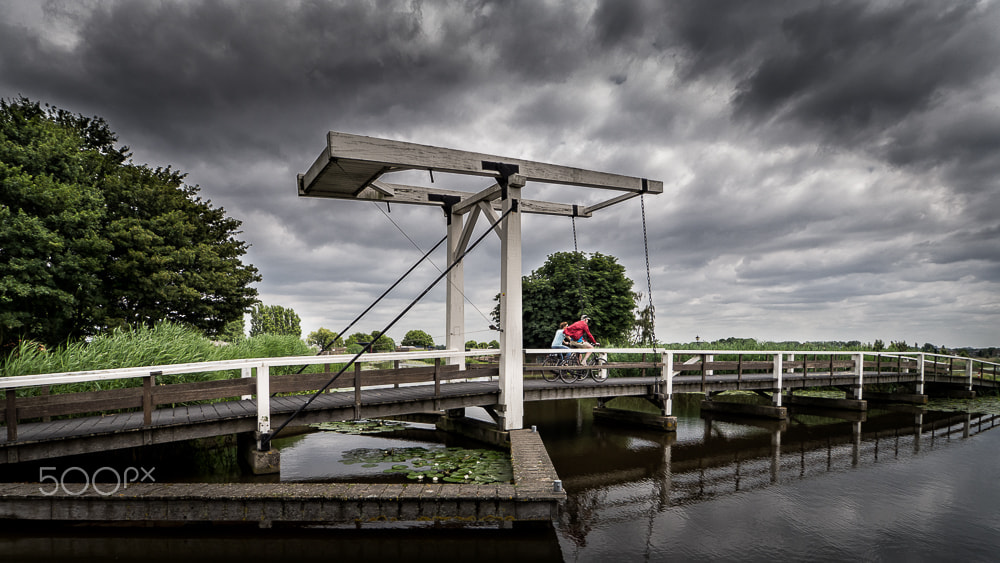 Olympus OM-D E-M10 II + OLYMPUS M.9-18mm F4.0-5.6 sample photo. Dutch summer photography