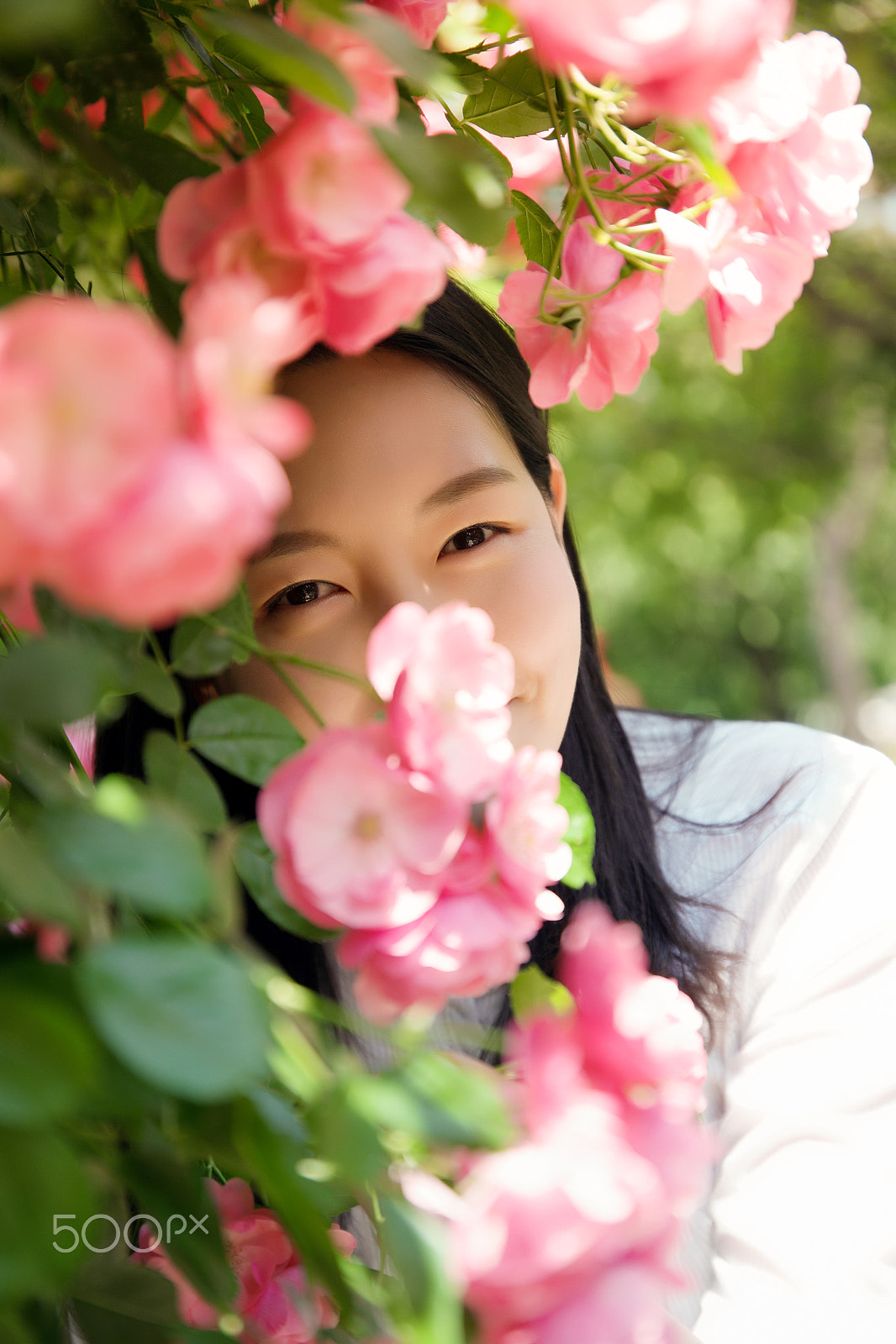 Saumsun NX 16-50mm F2-2.8 S ED OIS sample photo. 2016's seoul roses festival. photography