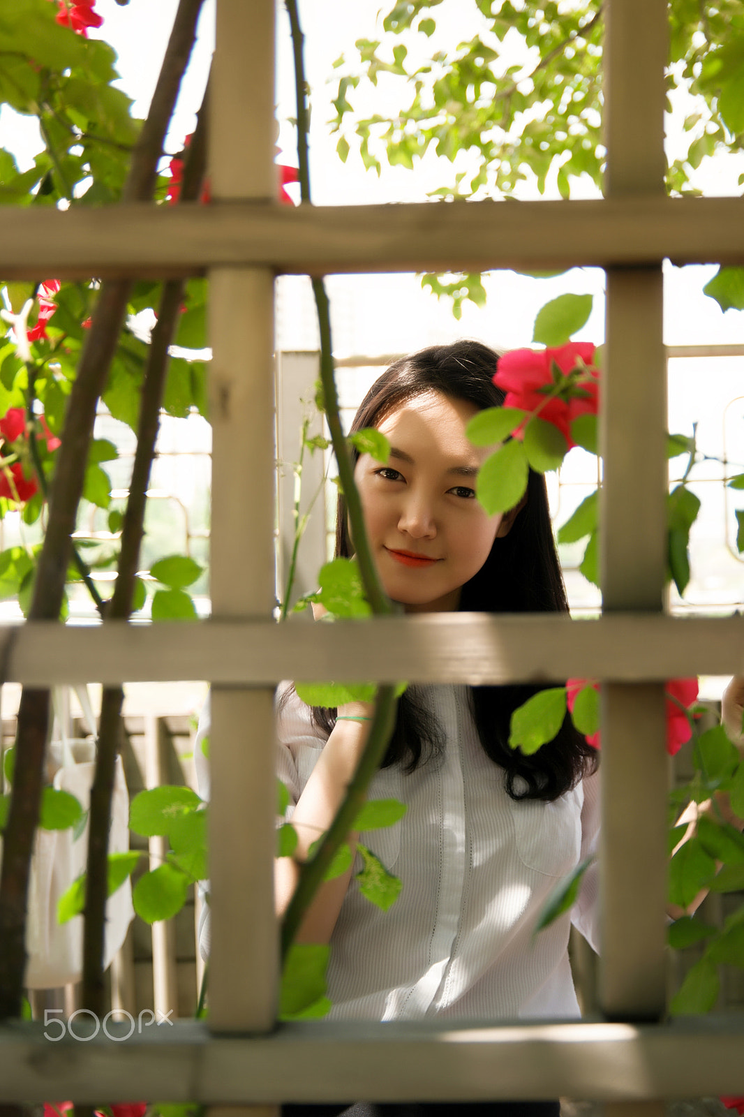 Saumsun NX 16-50mm F2-2.8 S ED OIS sample photo. 2016's seoul roses festival. photography