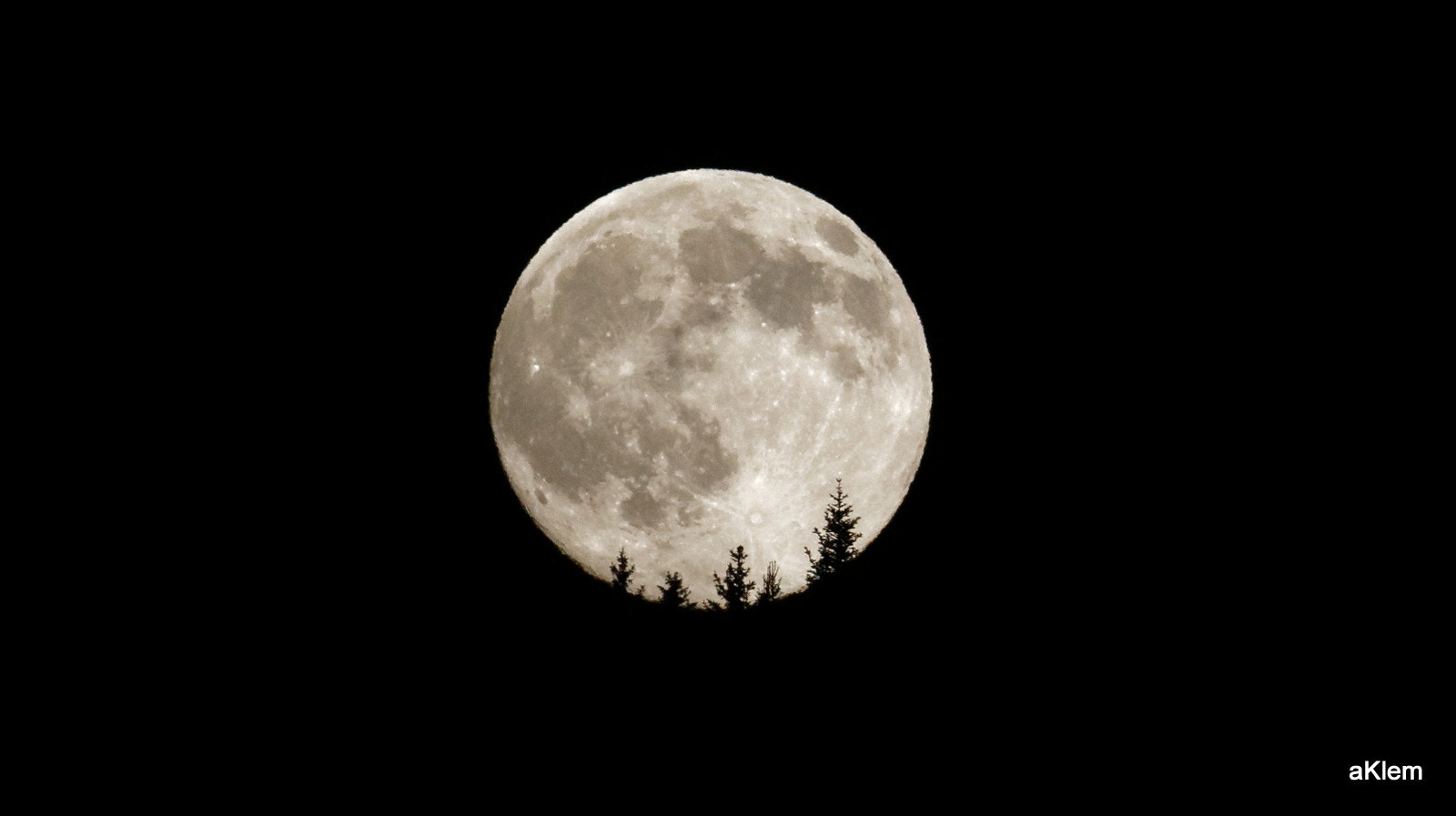 Canon EF 300mm F4L IS USM sample photo. 20160619_224030_5166.jpg photography