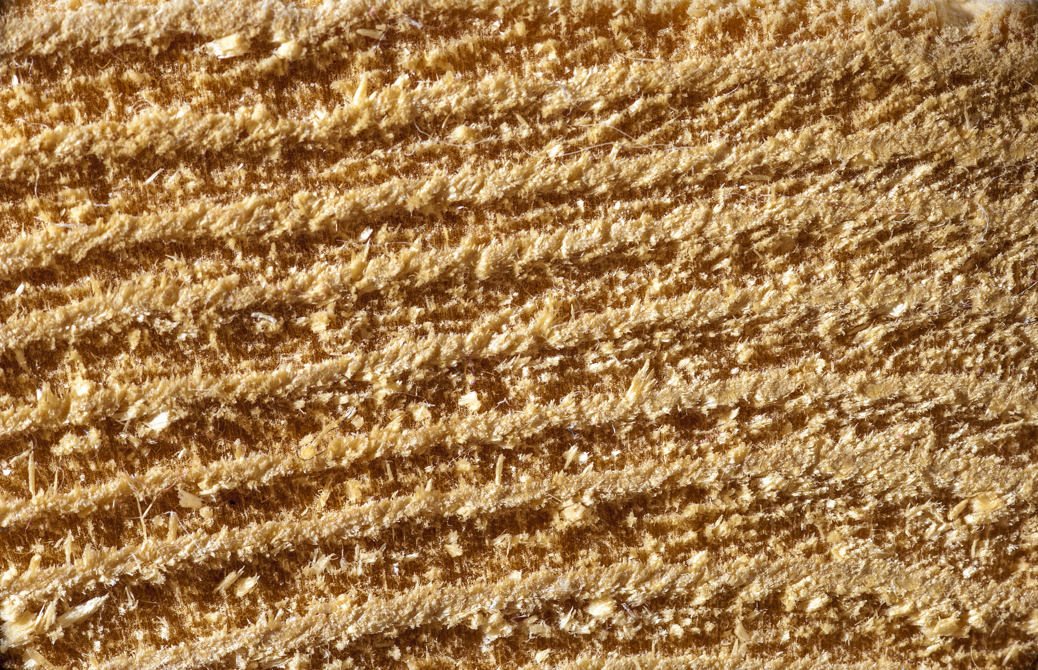 Nikon D700 + AF Micro-Nikkor 105mm f/2.8 sample photo. Closeup of rough wooden structure photography