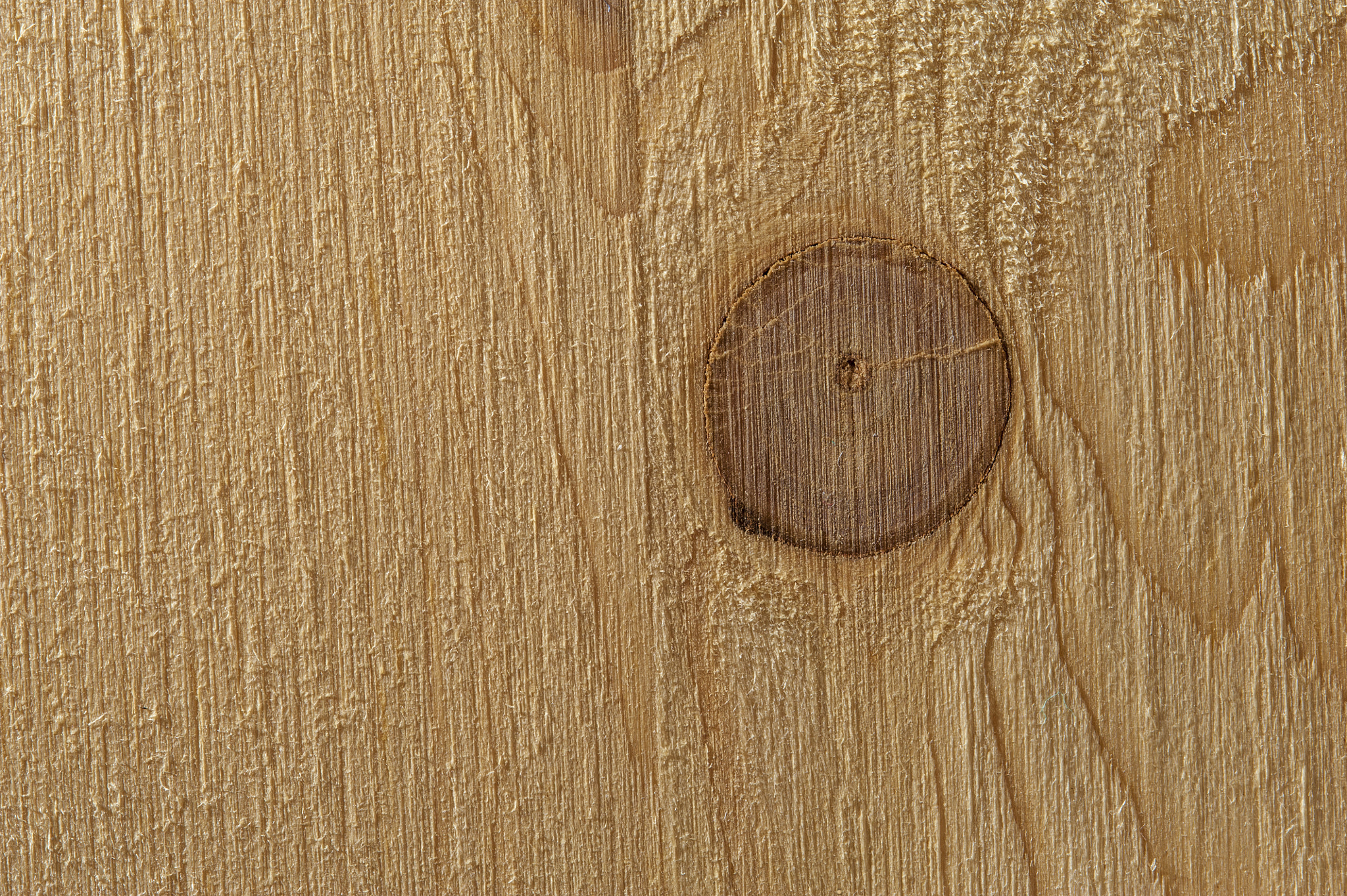 Nikon D700 + AF Micro-Nikkor 105mm f/2.8 sample photo. Natural wood background photography