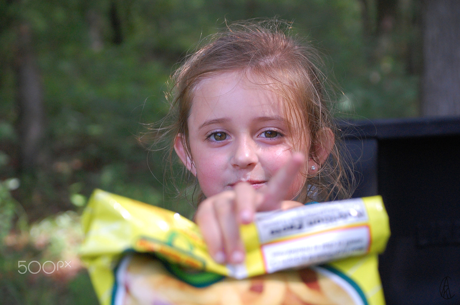 Nikon D40 sample photo. Chips photography