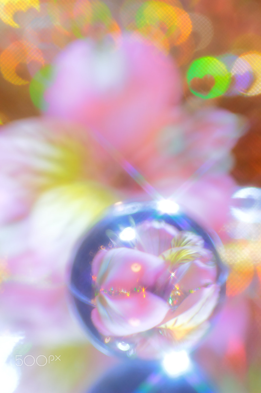 Canon EOS 600D (Rebel EOS T3i / EOS Kiss X5) sample photo. Flower ball photography