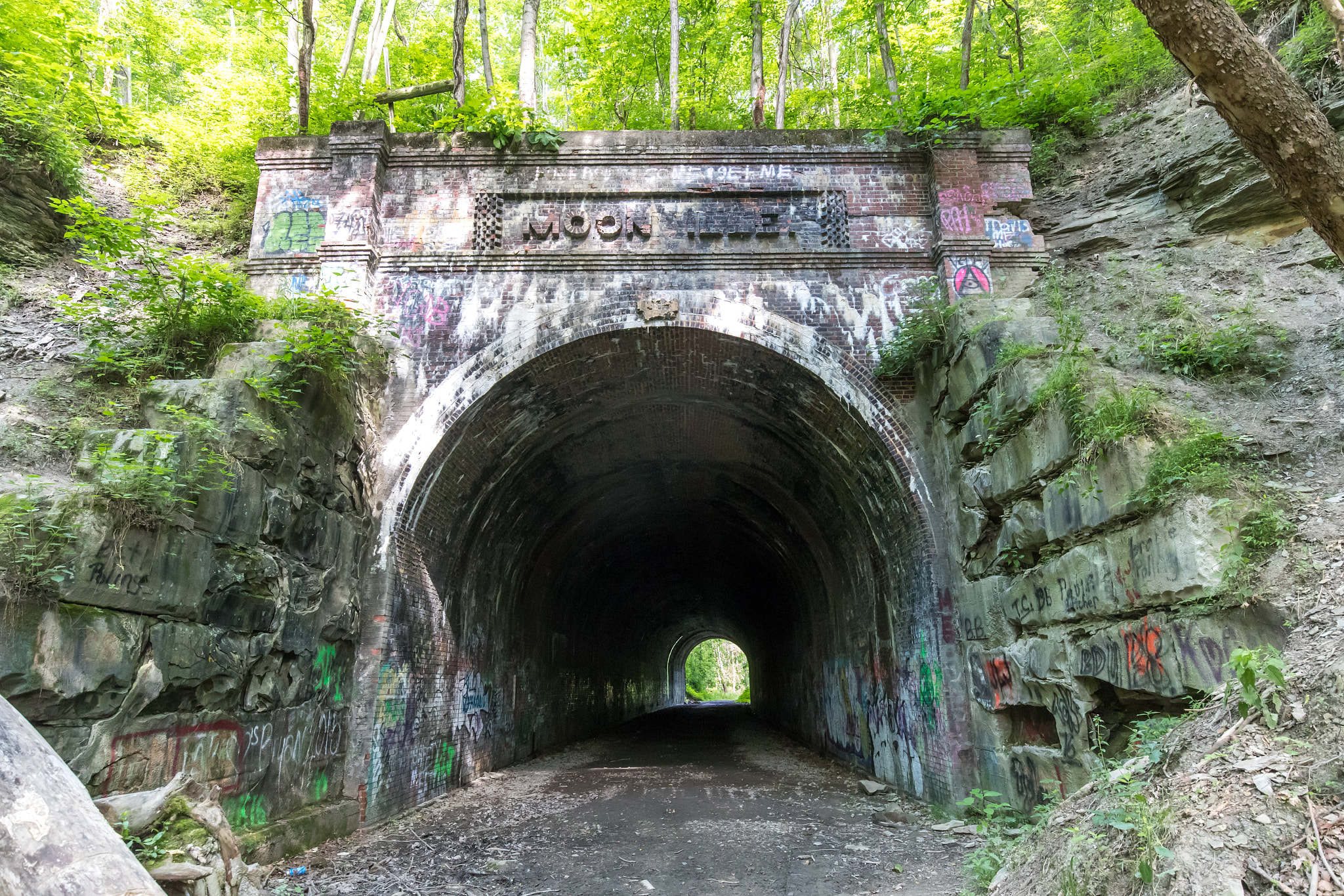 Canon EF 16-35mm F4L IS USM sample photo. The haunted moonville tunnel. photography