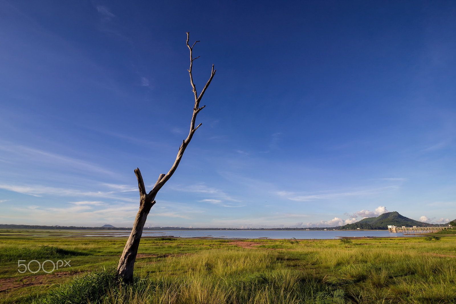Canon EF-S 10-18mm F4.5–5.6 IS STM sample photo. Still alive photography