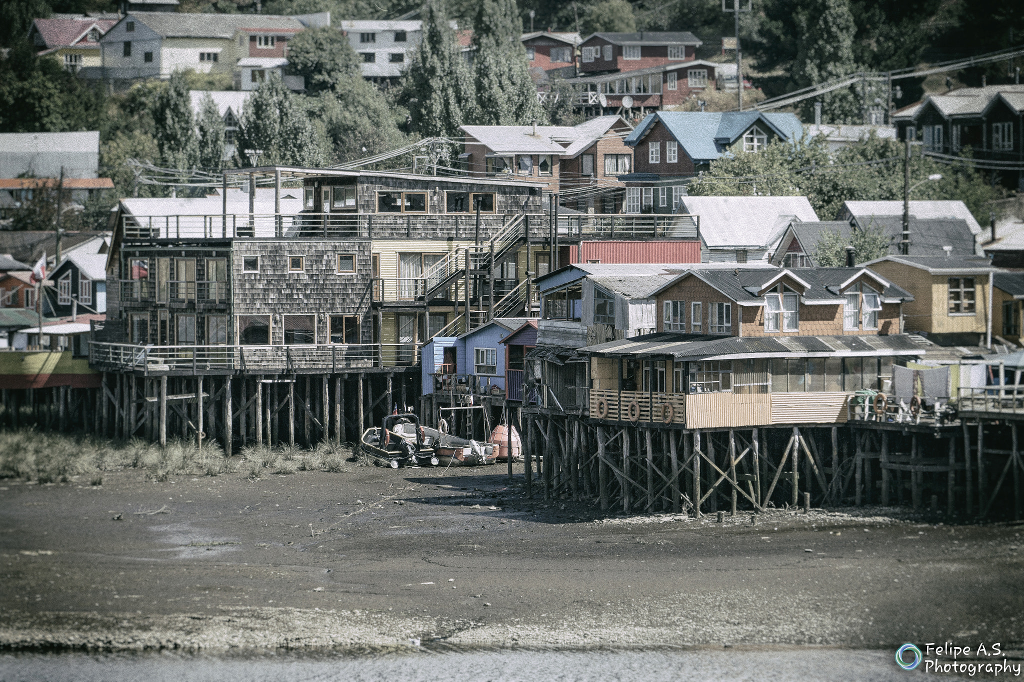 Sony Alpha a3500 sample photo. Life in chiloe chile photography