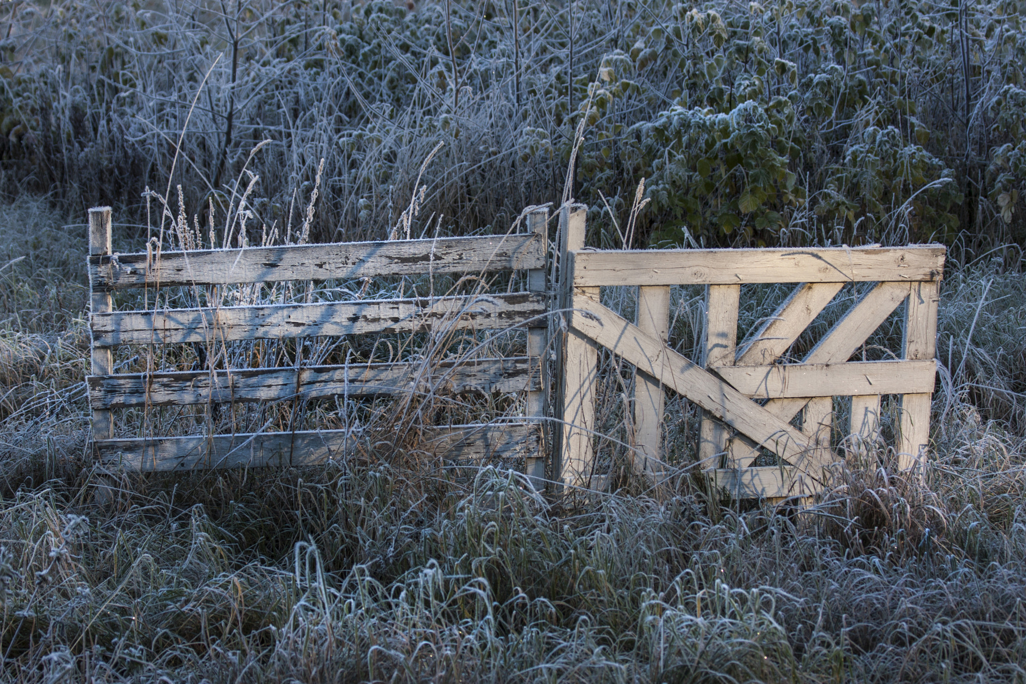 Canon EF 100-400mm F4.5-5.6L IS USM sample photo. Gate to the past... or to the future... photography