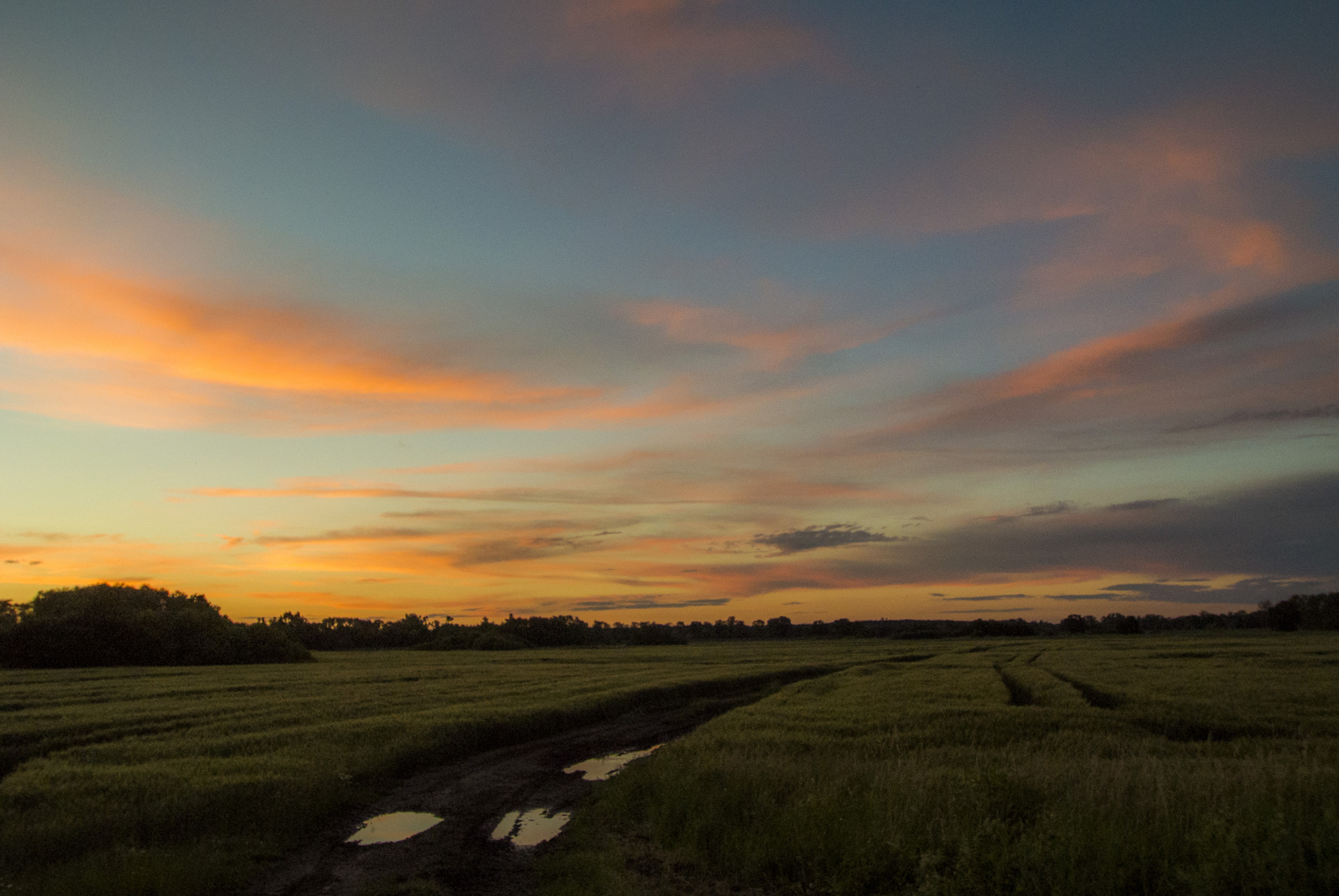 Nikon 1 V1 sample photo. After rain photography