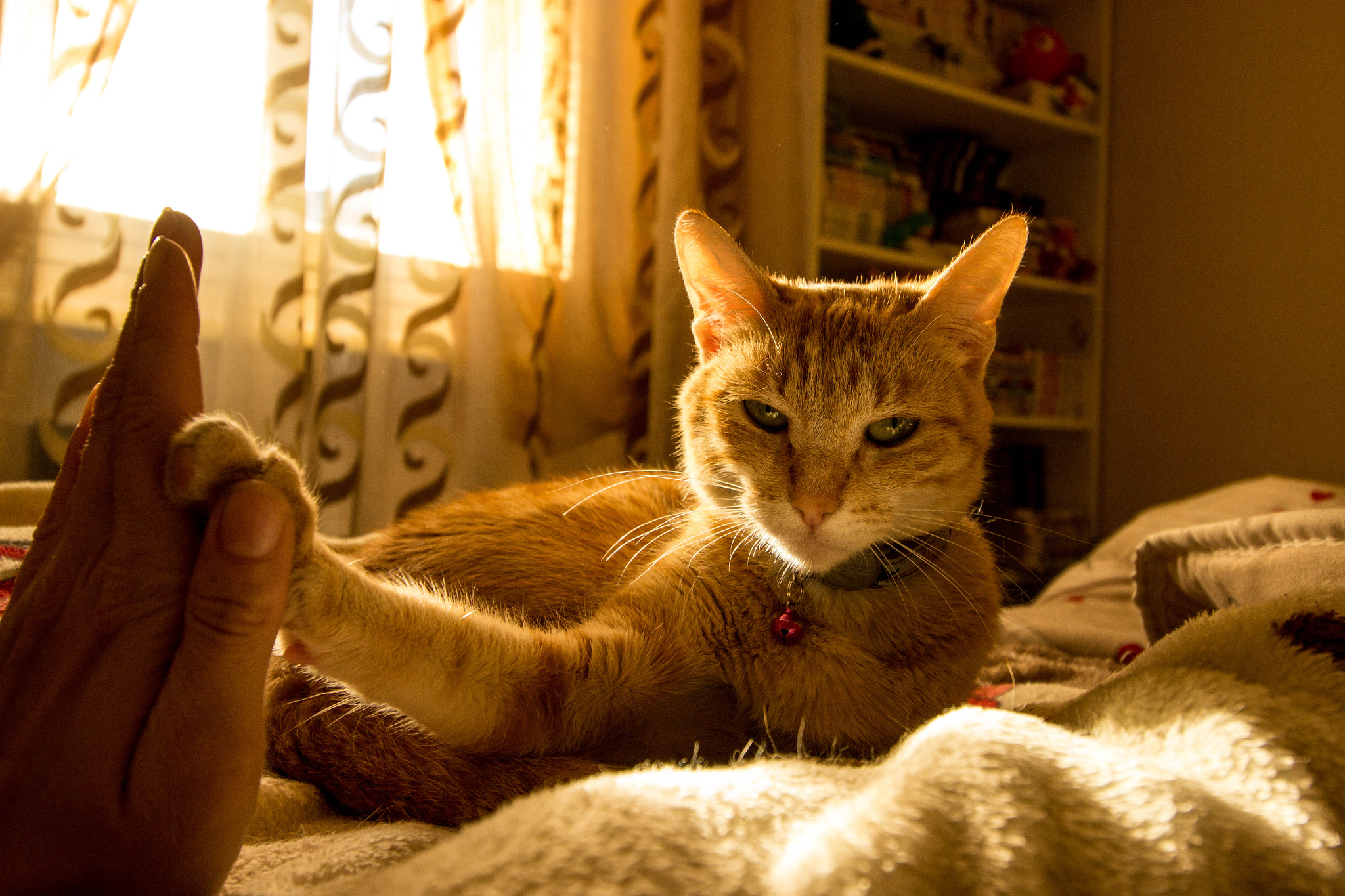 Canon EF-S 10-18mm F4.5–5.6 IS STM sample photo. My human photography