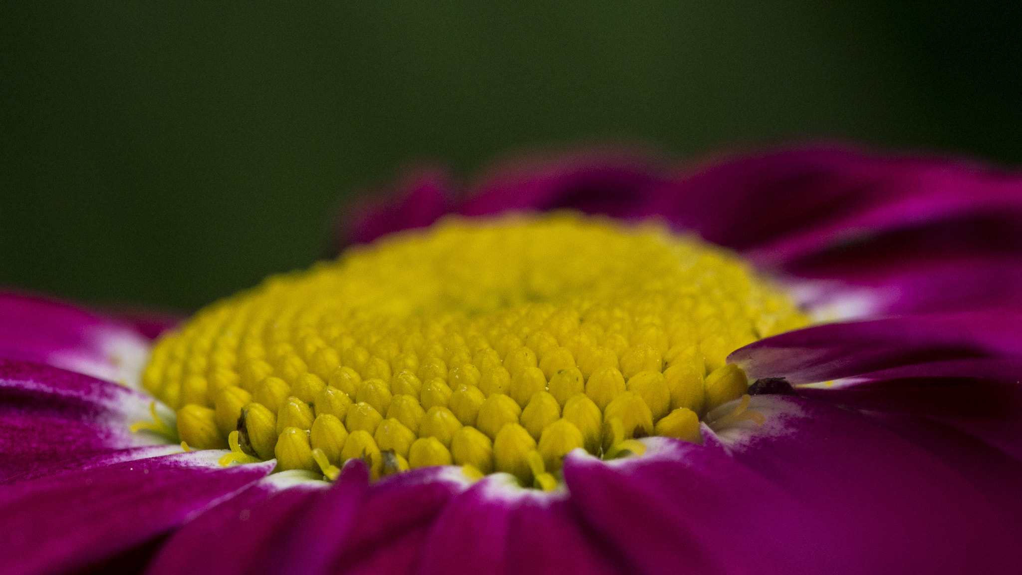 Nikon 1 V1 sample photo. Airstrip photography