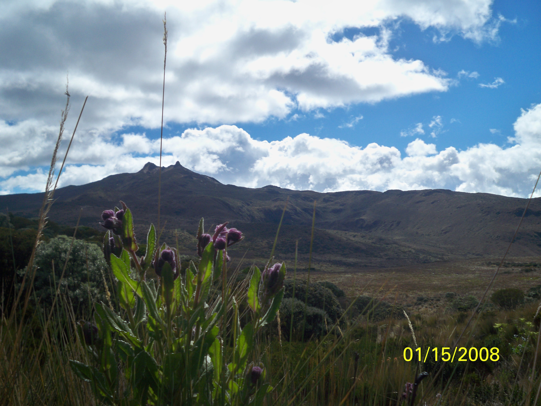 Kodak EASYSHARE M1093 IS DIGITAL CAMERA sample photo. Flor del nevado photography