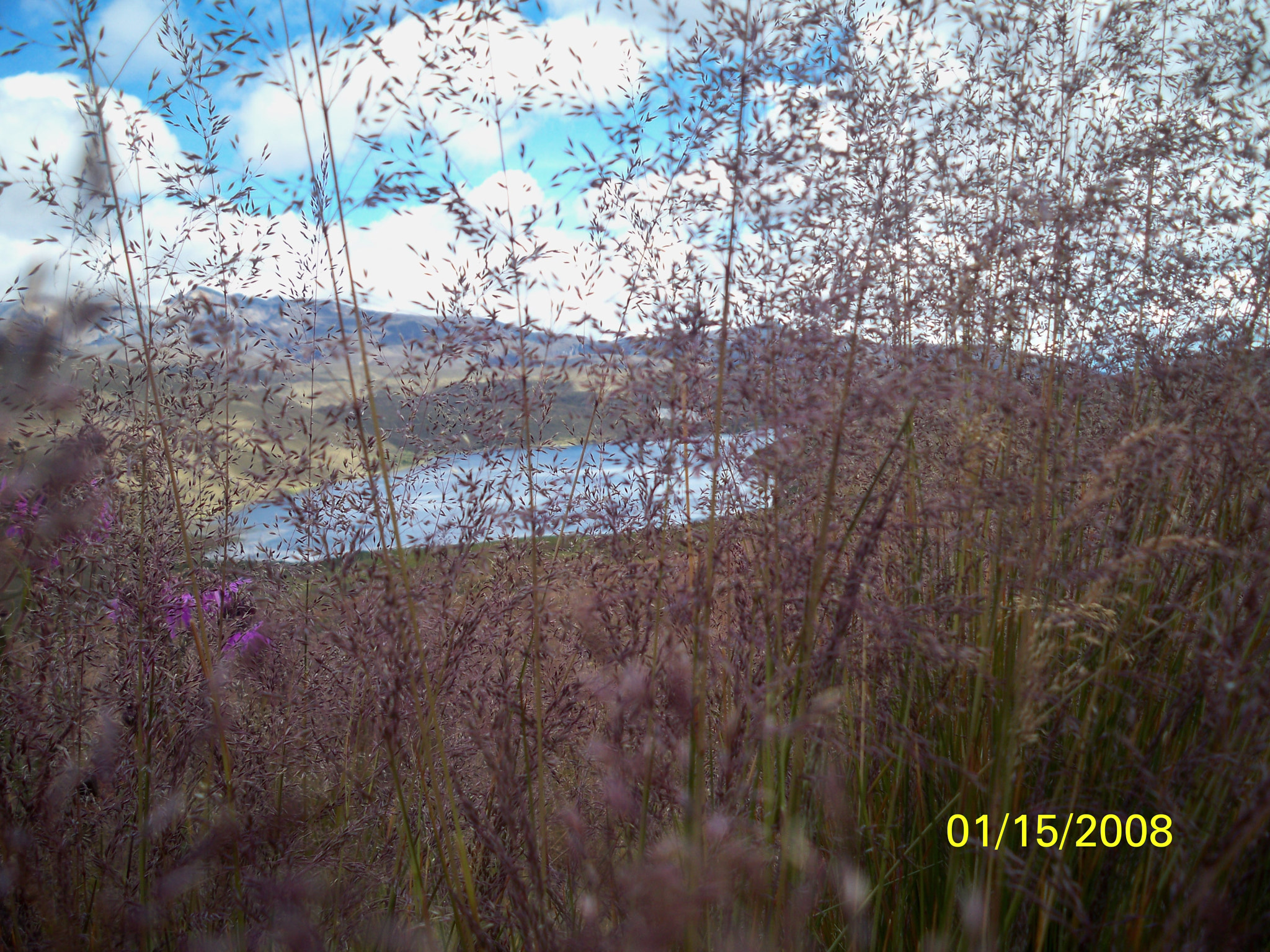 Kodak EASYSHARE M1093 IS DIGITAL CAMERA sample photo. Cortina  photography