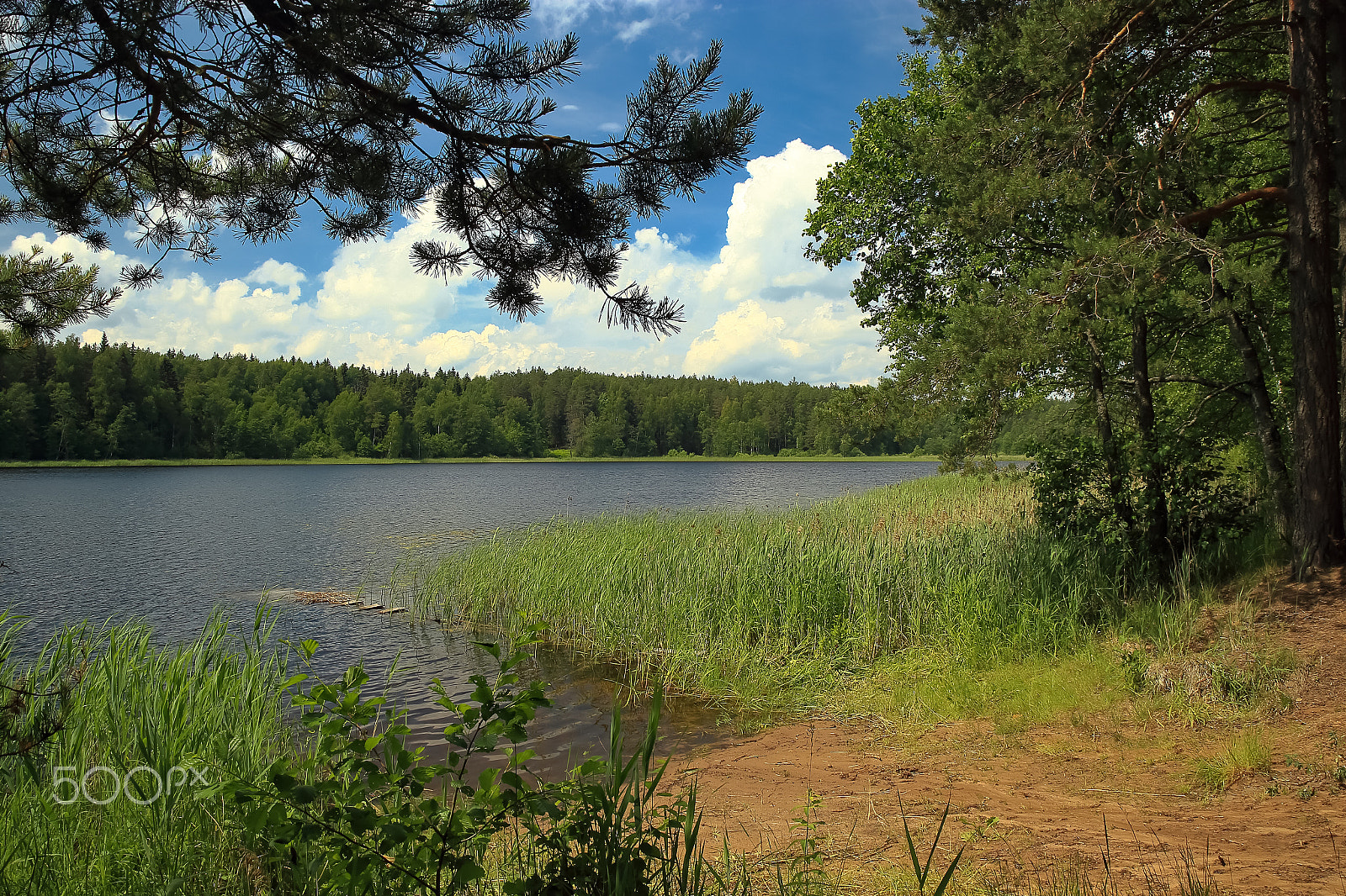 Canon EF 28-80mm f/2.8-4L sample photo. The lake seliger landscape_5_2016 photography