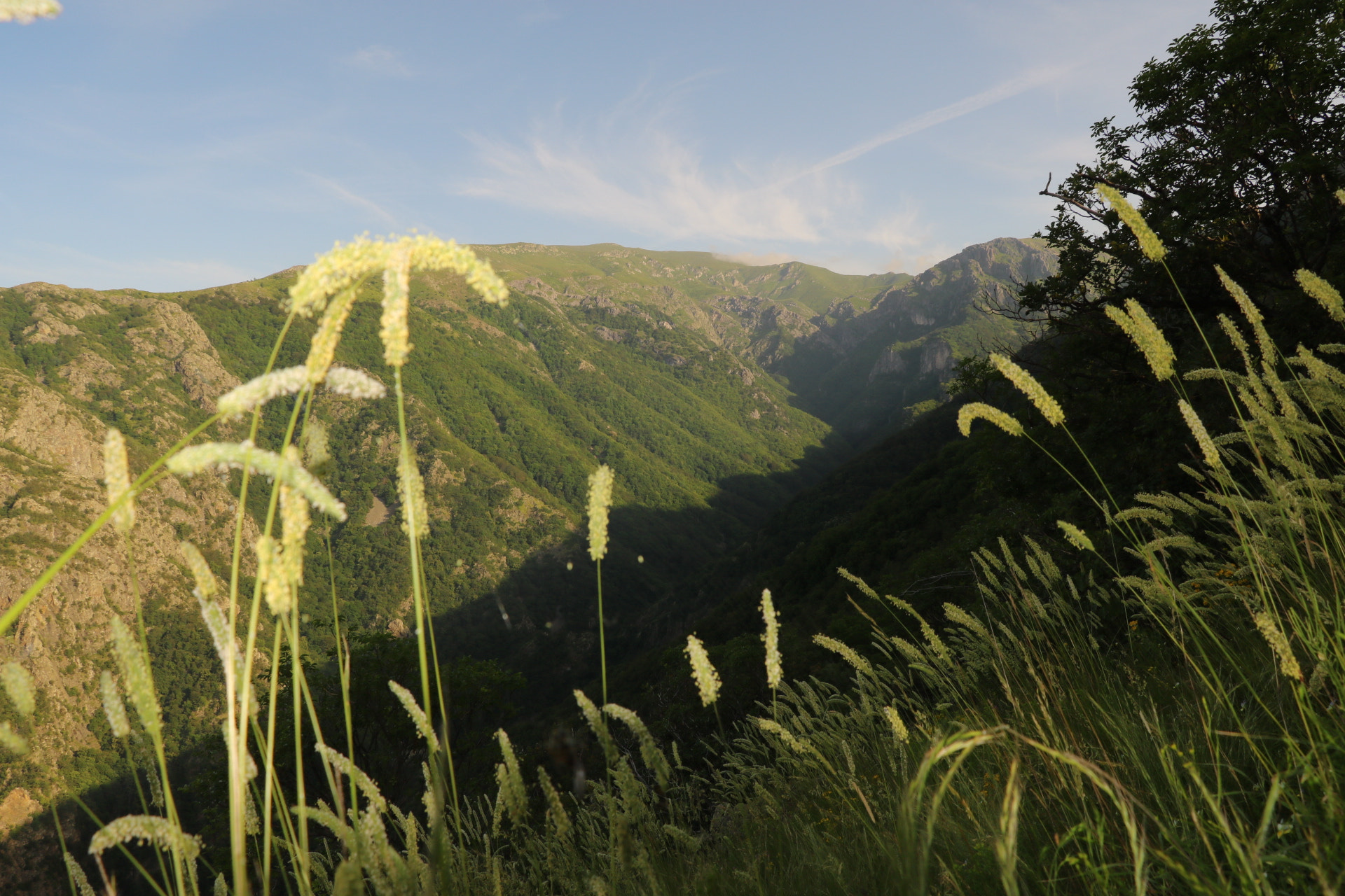 Canon EOS 750D (EOS Rebel T6i / EOS Kiss X8i) sample photo. Landscape old mountain bulgaria  photography