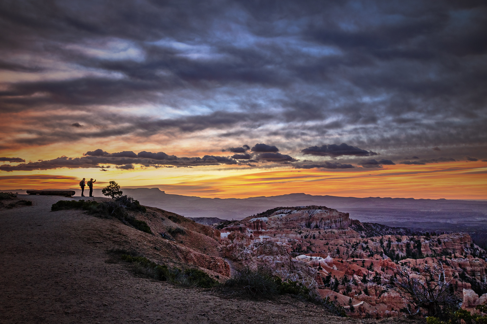 Sigma 10-20mm F3.5 EX DC HSM sample photo. Bryce canyon photography