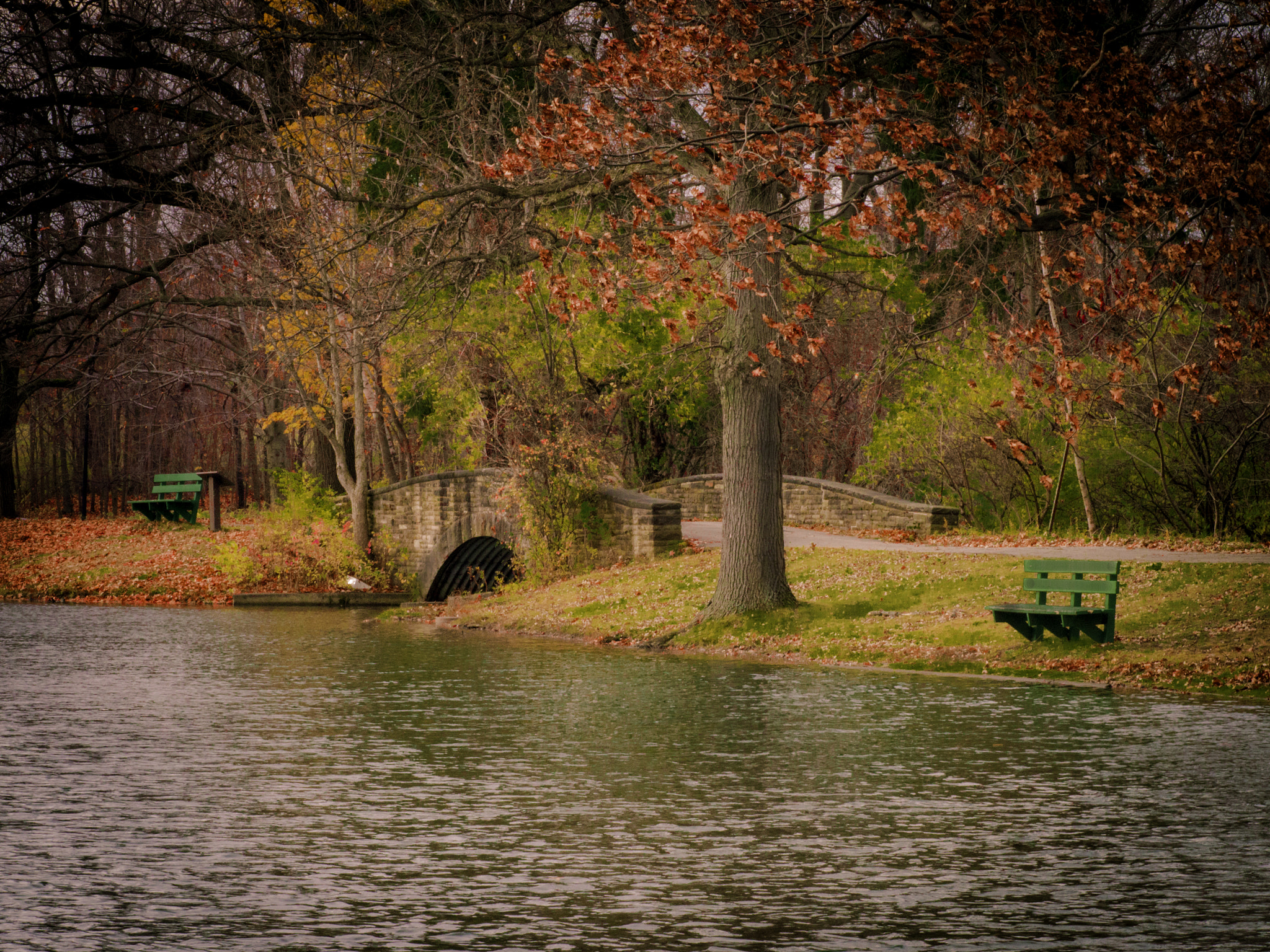 Olympus OM-D E-M5 + Olympus M.Zuiko Digital ED 75mm F1.8 sample photo. The park in the dark photography