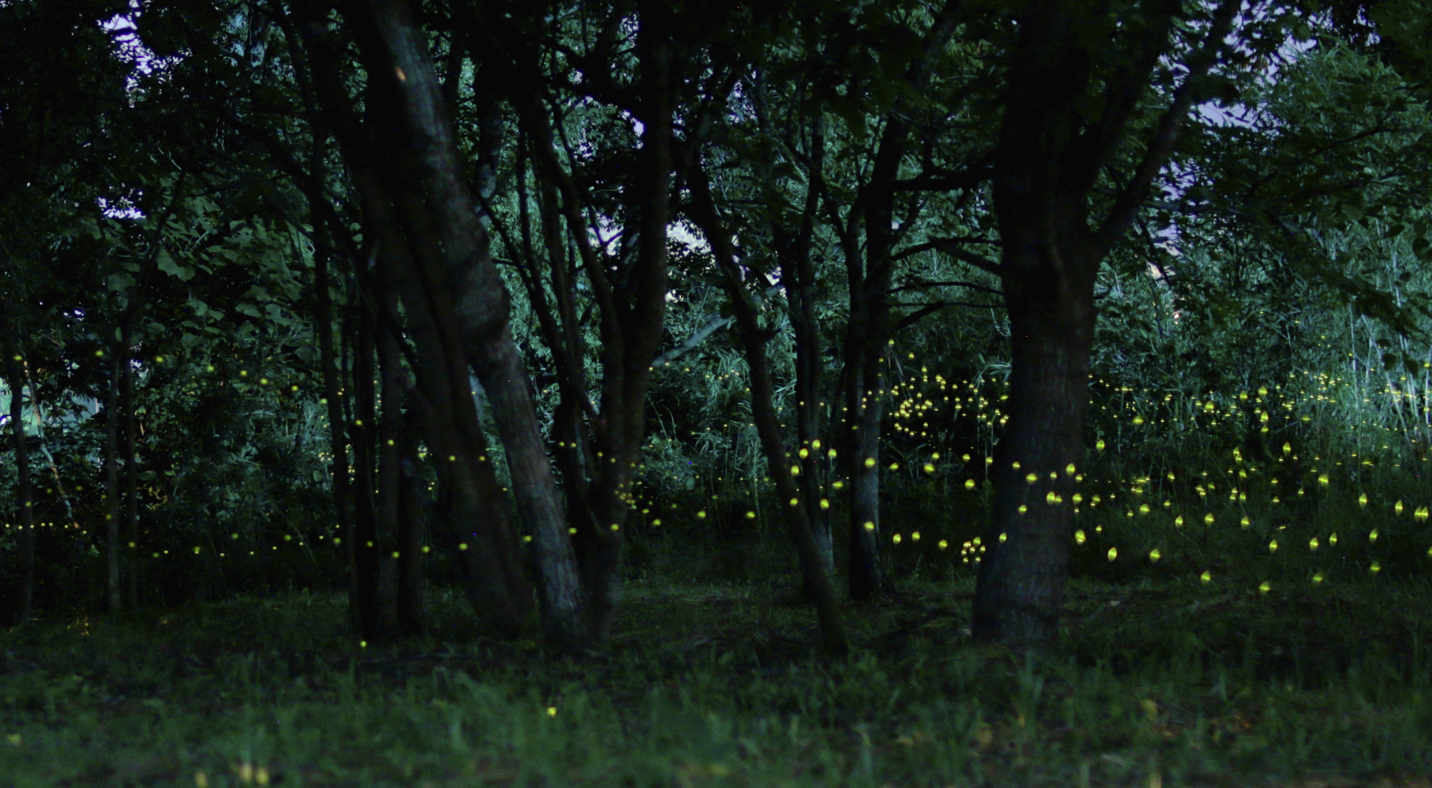 Canon EF 24-85mm F3.5-4.5 USM sample photo. Sleepless night photography