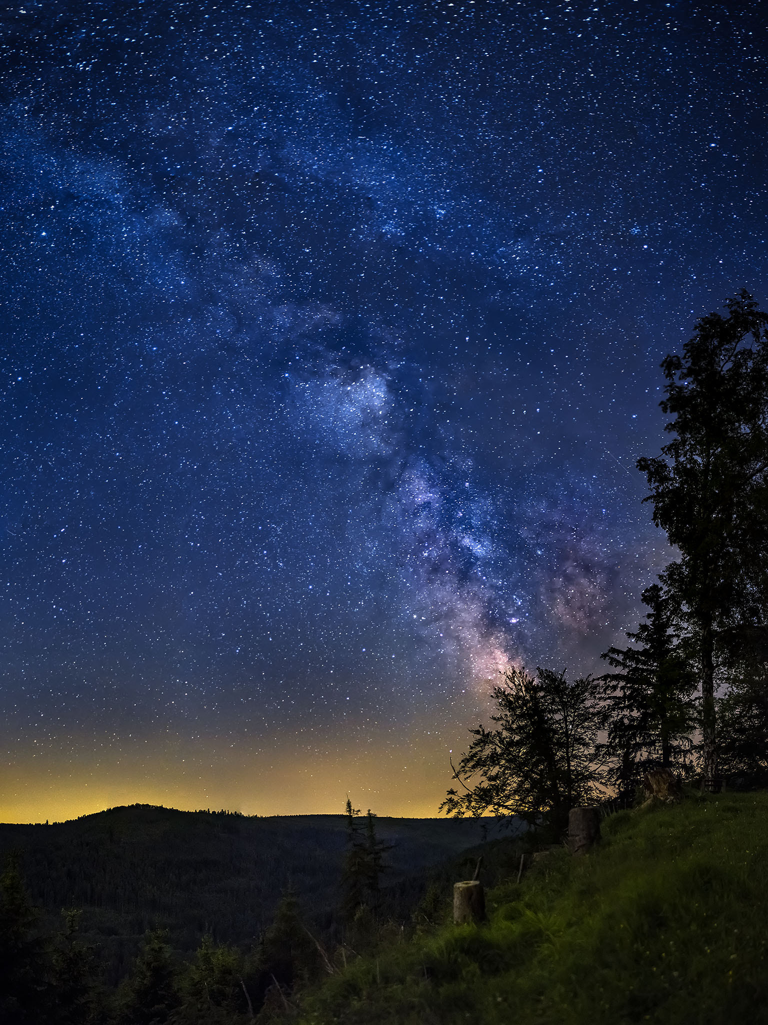 Nikon D3300 + Sigma 30mm F1.4 EX DC HSM sample photo. Milkyway above black forest photography
