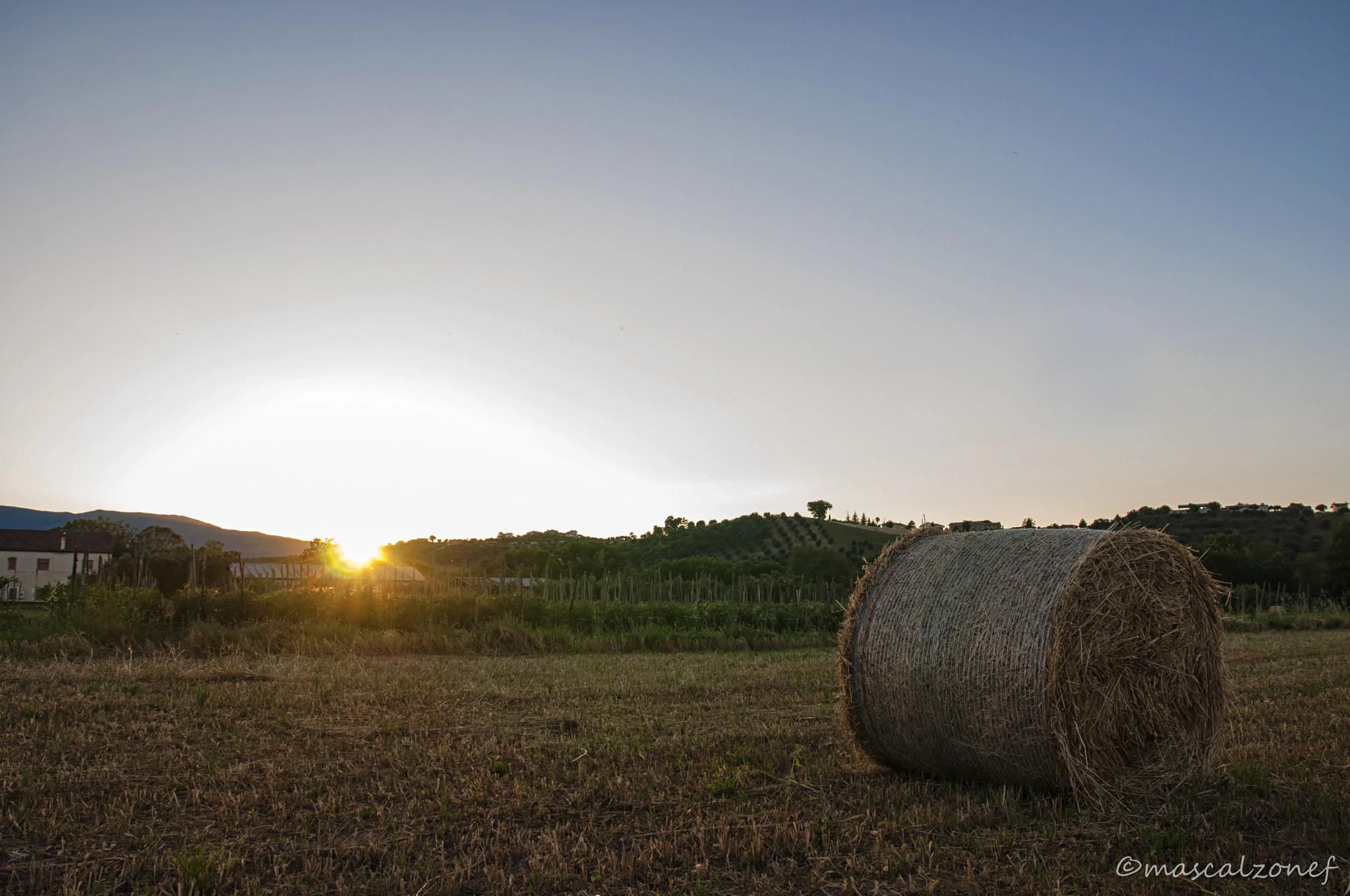 Sigma 17-70mm F2.8-4 DC Macro OS HSM | C sample photo. Hd photography