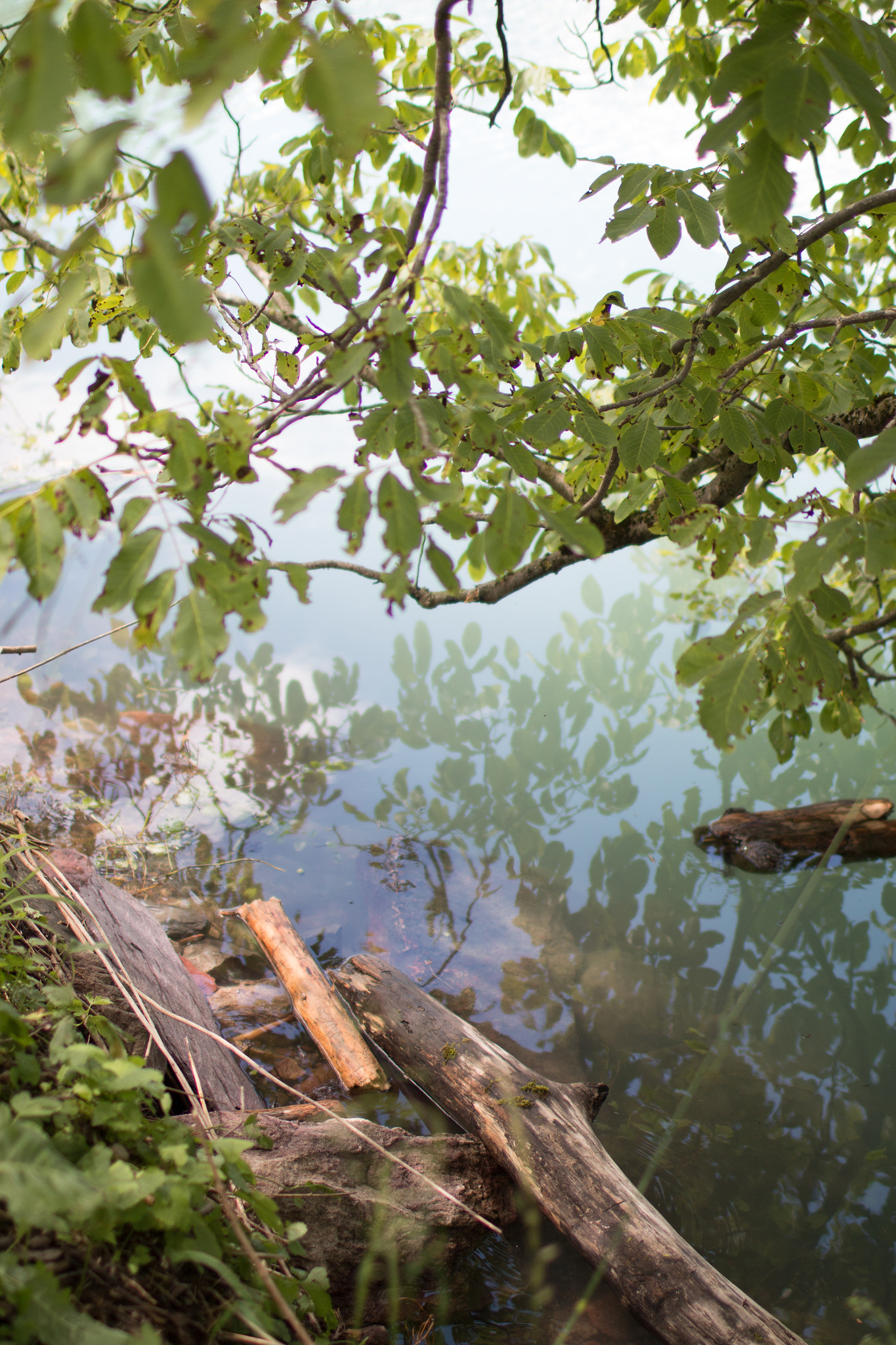 Canon EOS 70D + Canon EF 35mm F1.4L USM sample photo. Reflecting lake i photography