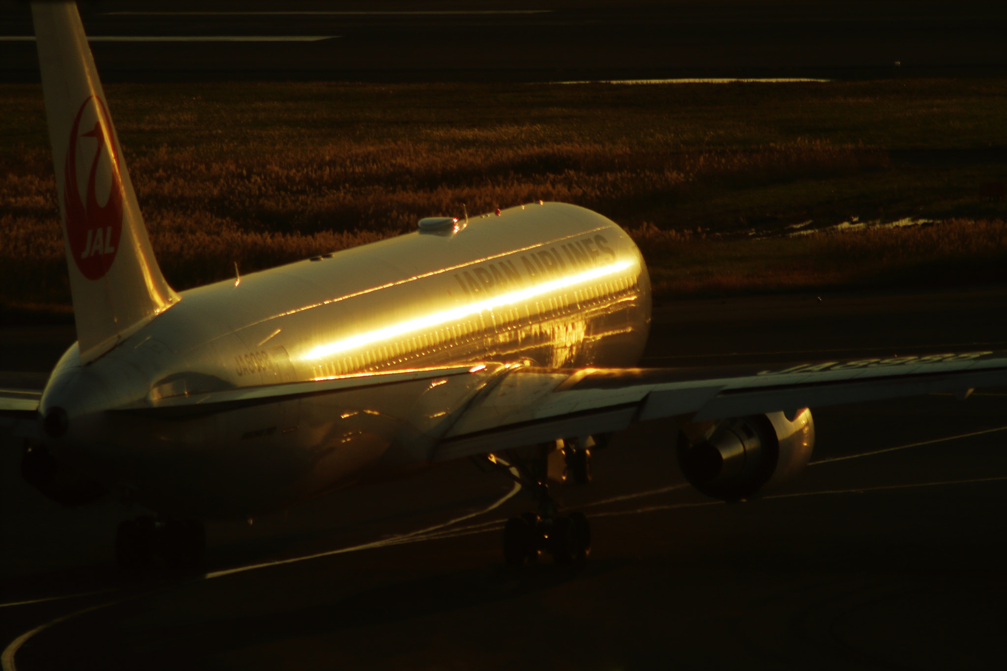 Canon EF 75-300mm F4.0-5.6 IS USM sample photo. Gold line photography