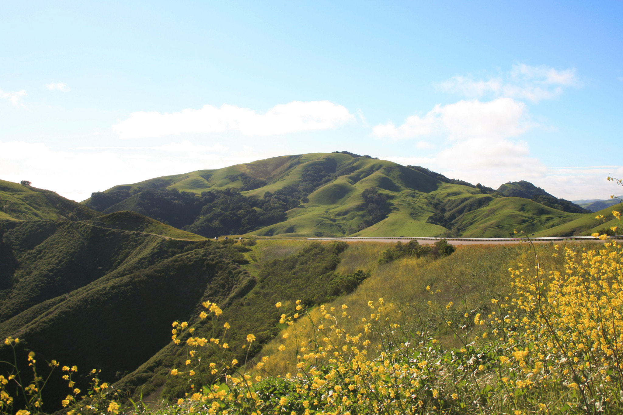 Canon EF-S 18-55mm F3.5-5.6 sample photo. Rolling pastures by the ocean photography