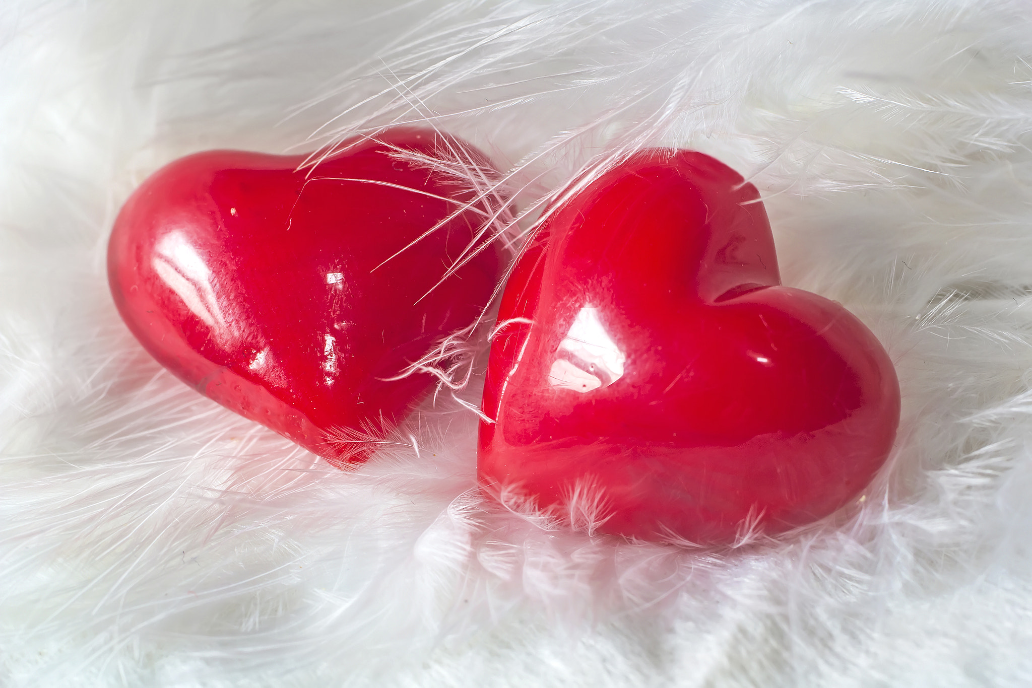 Canon EOS 60D + Canon EF 50mm F2.5 Macro sample photo. Two hearts photography