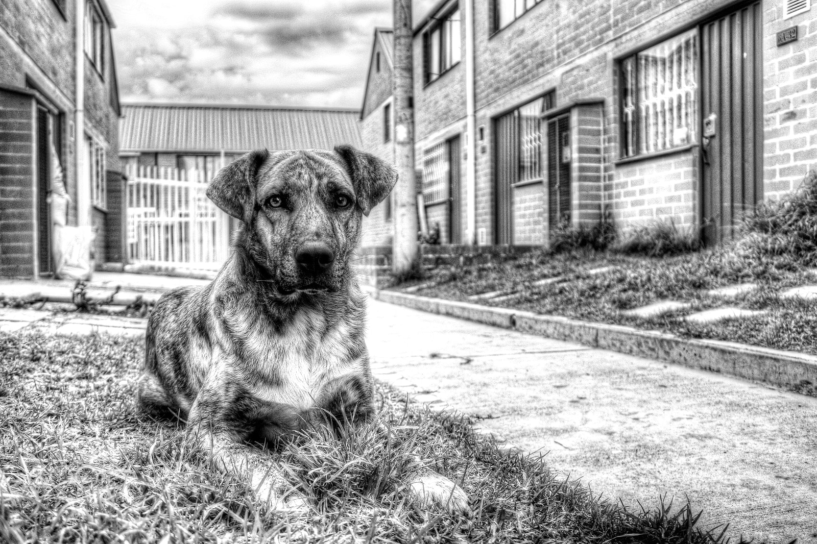 Canon EOS 100D (EOS Rebel SL1 / EOS Kiss X7) sample photo. Pancho photography