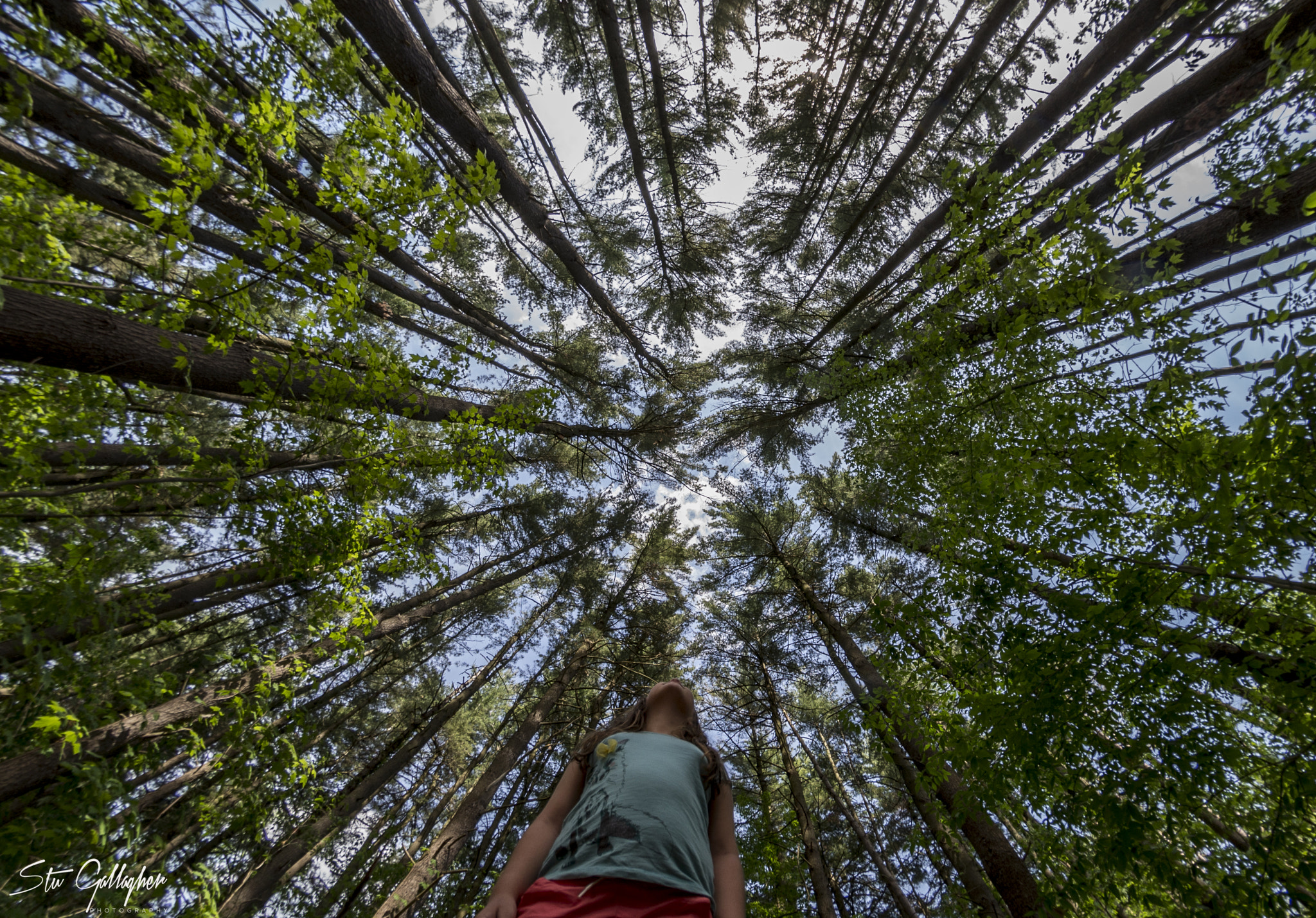 Nikon D610 + Samyang 8mm F3.5 Aspherical IF MC Fisheye sample photo. Big world photography