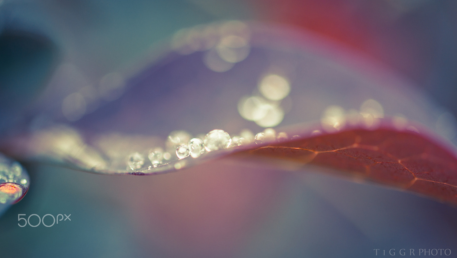 Samsung NX30 + Samsung NX 60mm F2.8 Macro ED OIS SSA sample photo. Abstraction photography