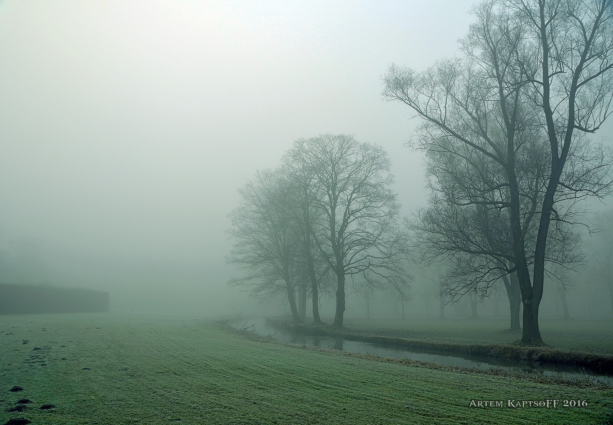 Sigma 18-250mm F3.5-6.3 DC OS HSM sample photo. Blinded by the dream photography