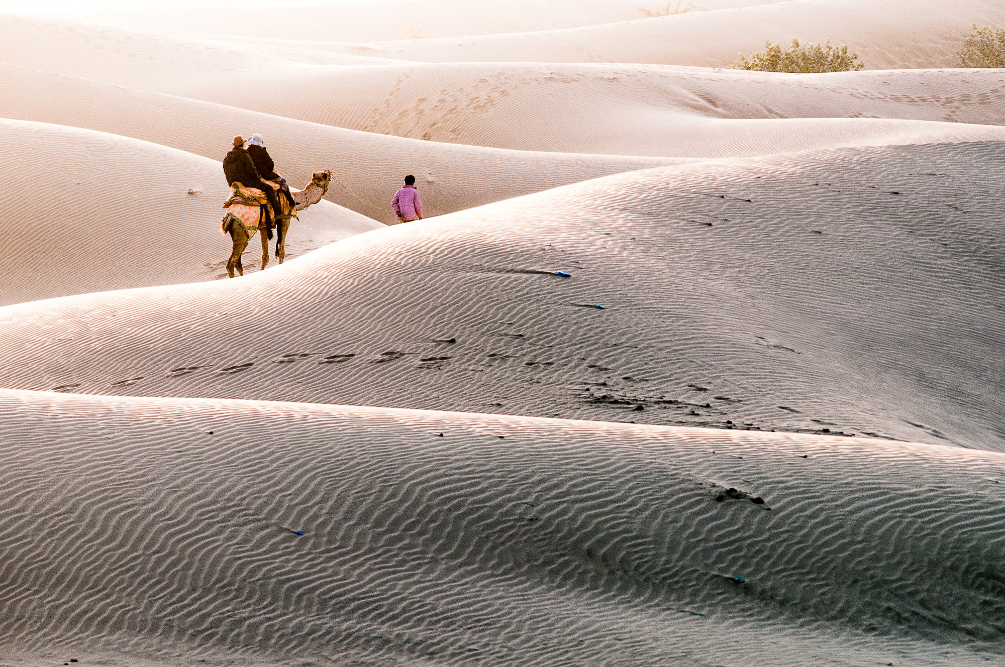 Nikon D300 + Sigma 50-150mm F2.8 EX APO DC HSM sample photo. From thar photography